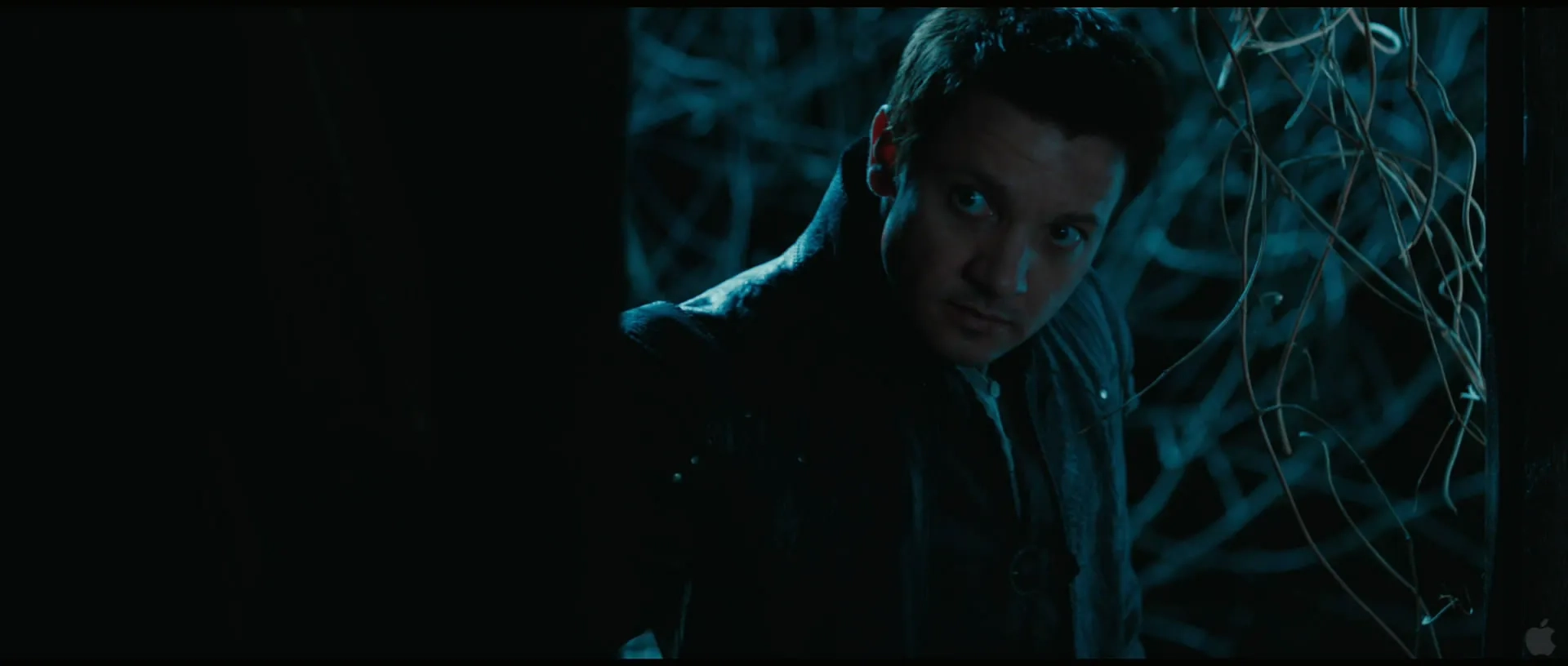 Jeremy Renner in Hansel & Gretel: Witch Hunters (2013)
