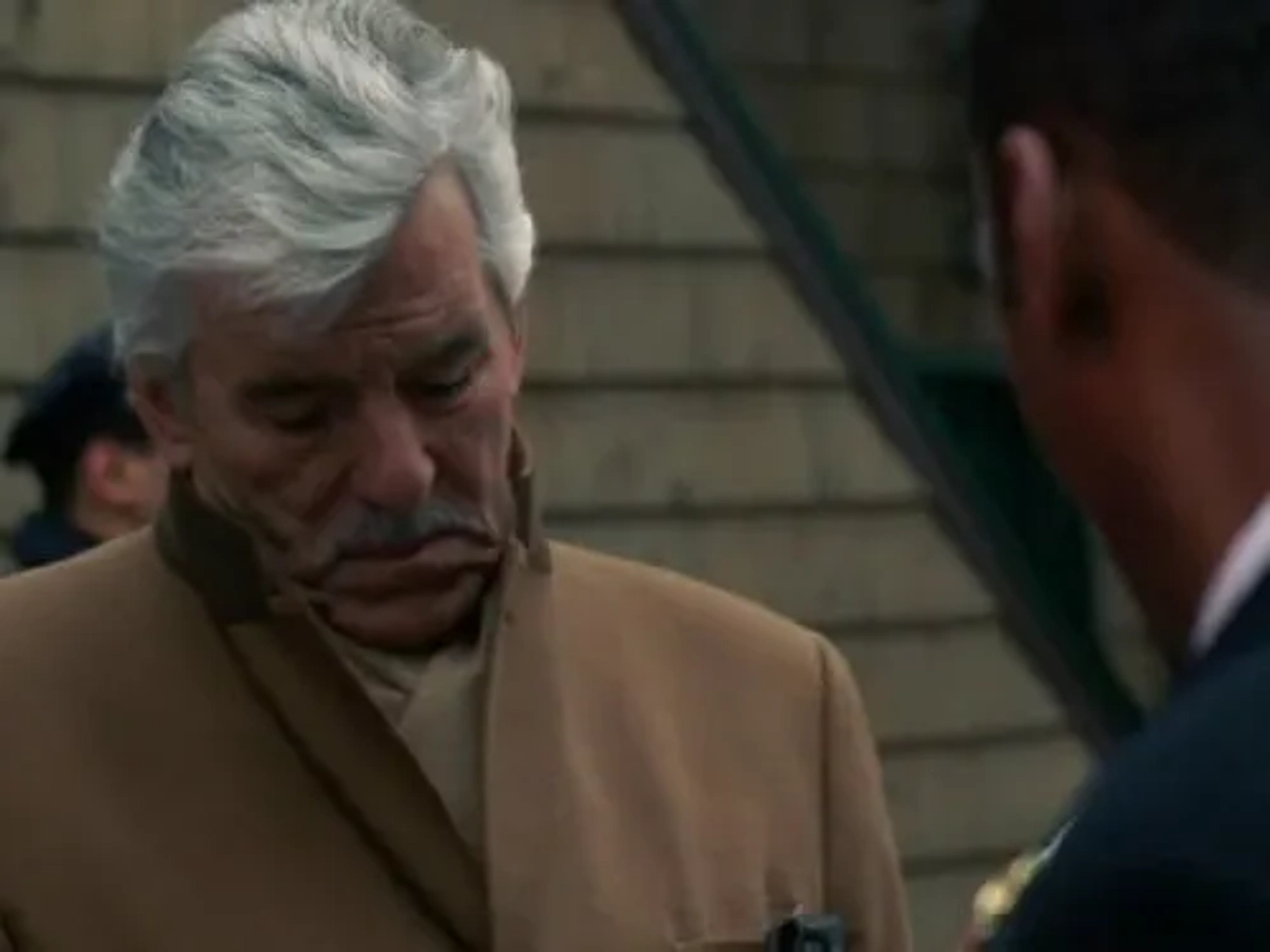 Dennis Farina in Law & Order (1990)