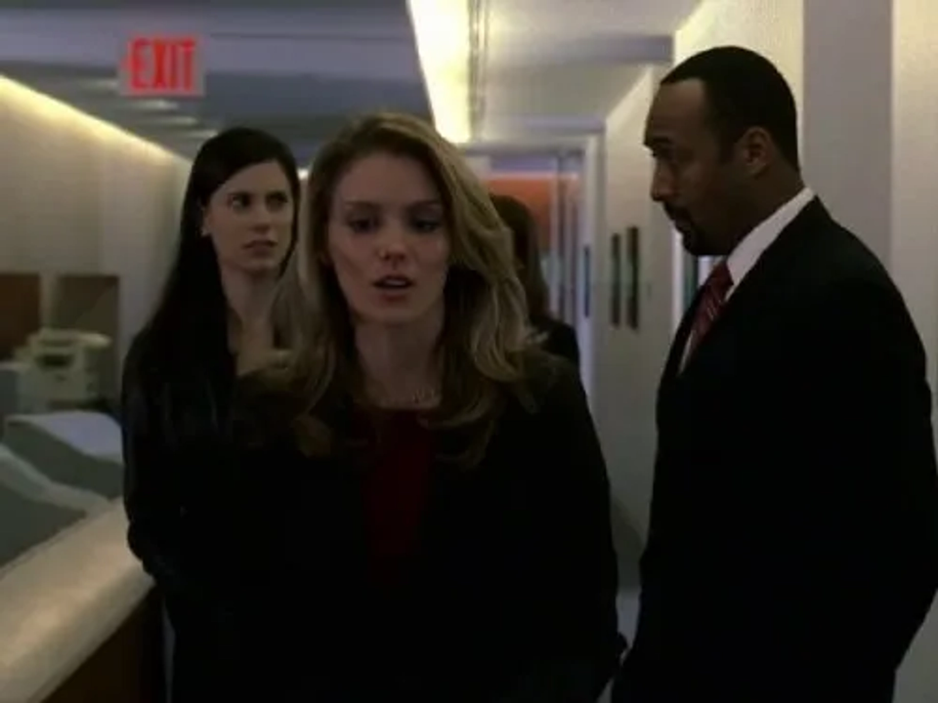 Jesse L. Martin, Susan Misner, and Milena Govich in Law & Order (1990)