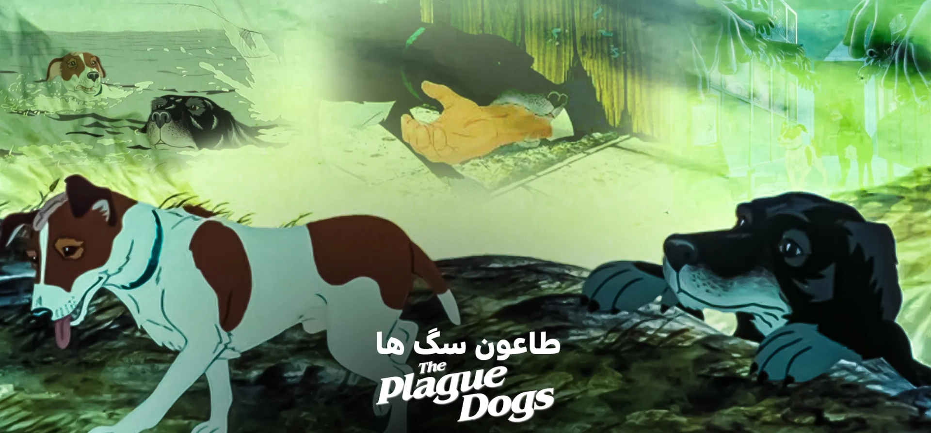 انیمیشن-طاعون-سگ-ها
