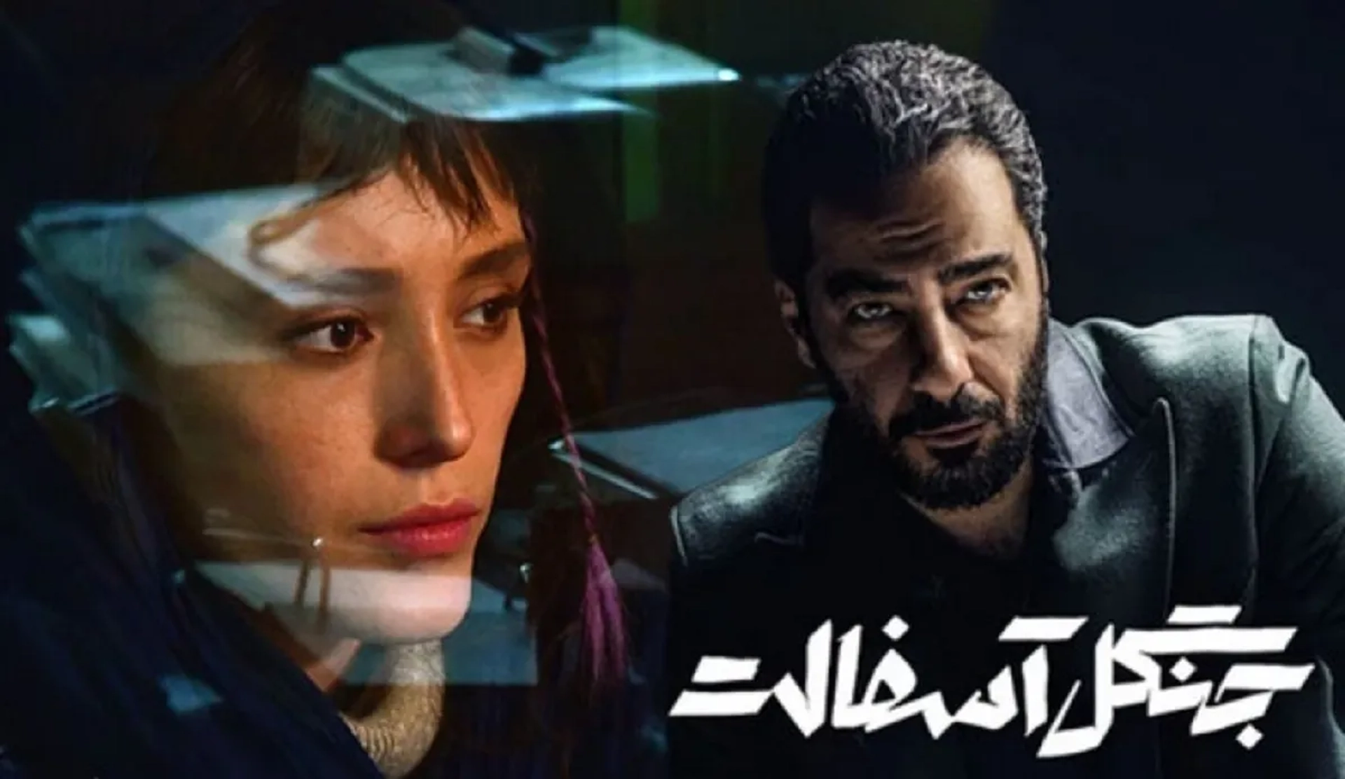 جنگل-آسفالت-1402