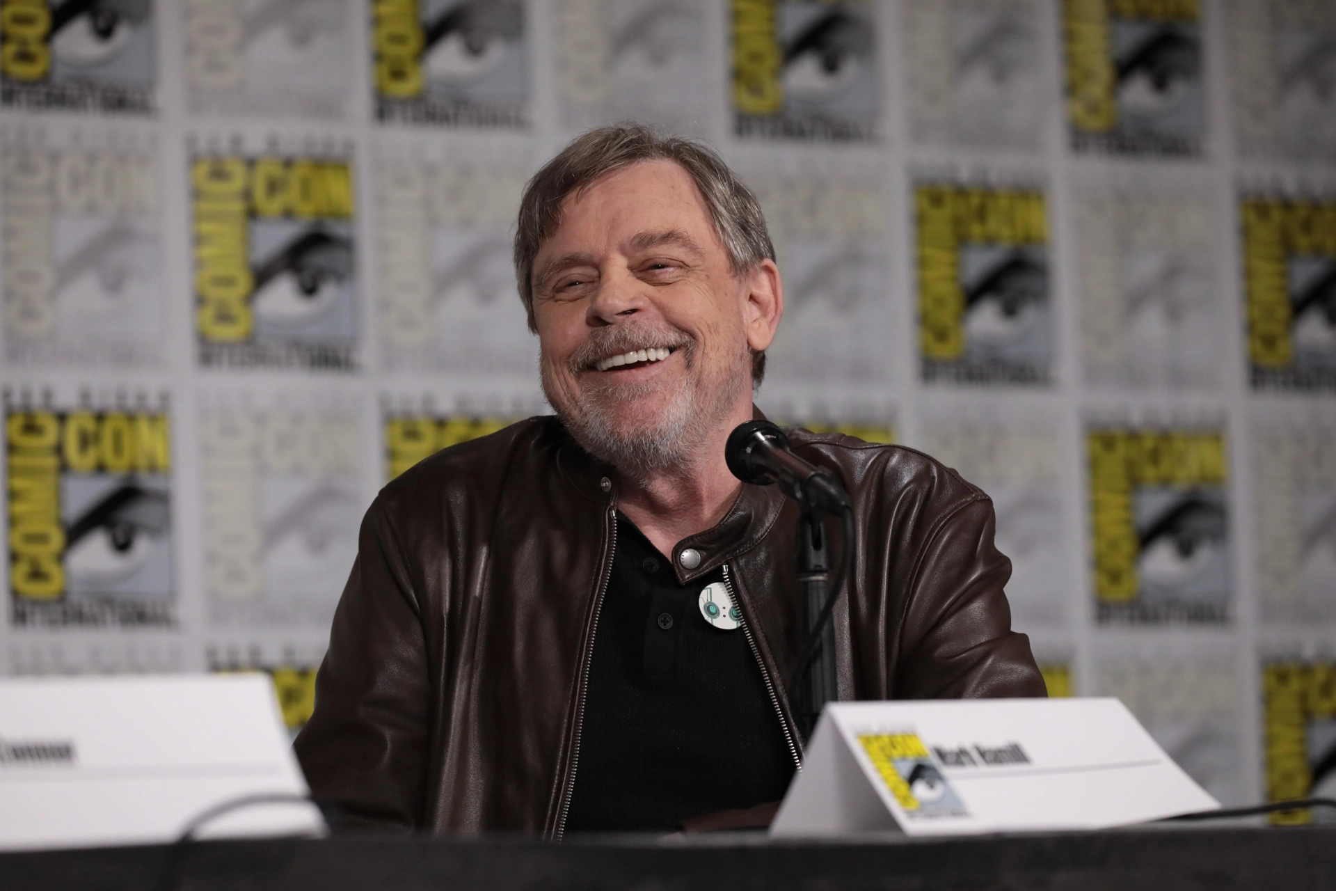 Mark Hamill at an event for The Wild Robot (2024)