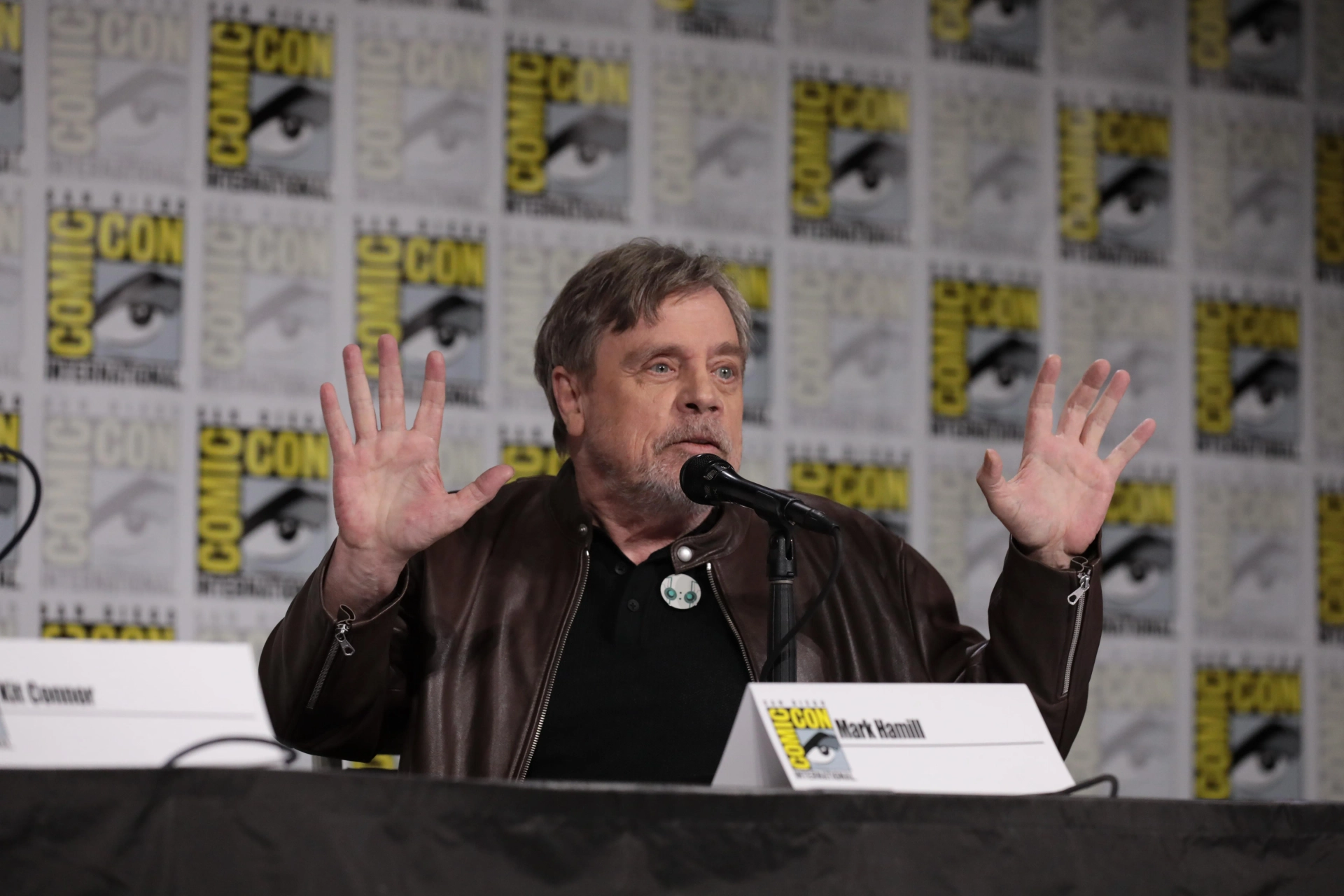 Mark Hamill at an event for The Wild Robot (2024)