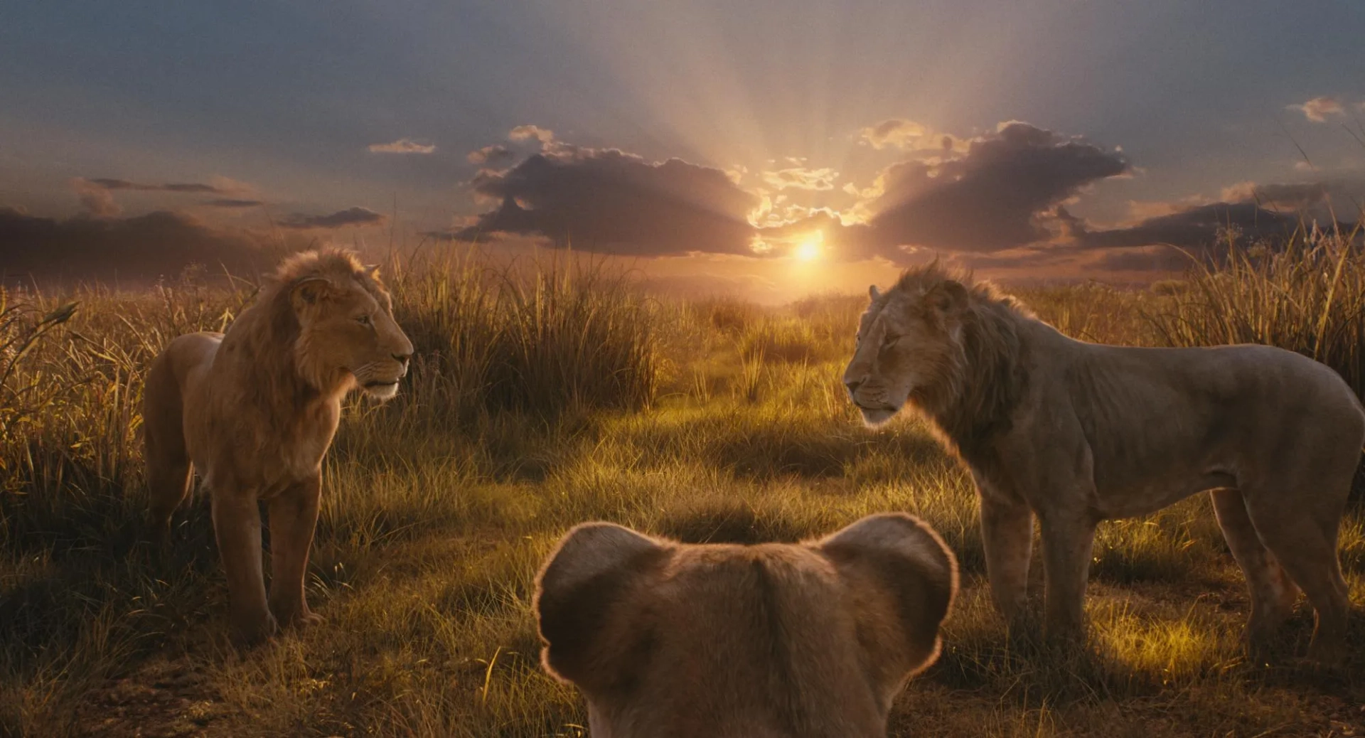 Thandiwe Newton, Kelvin Harrison Jr., and Aaron Pierre in Mufasa: The Lion King (2024)