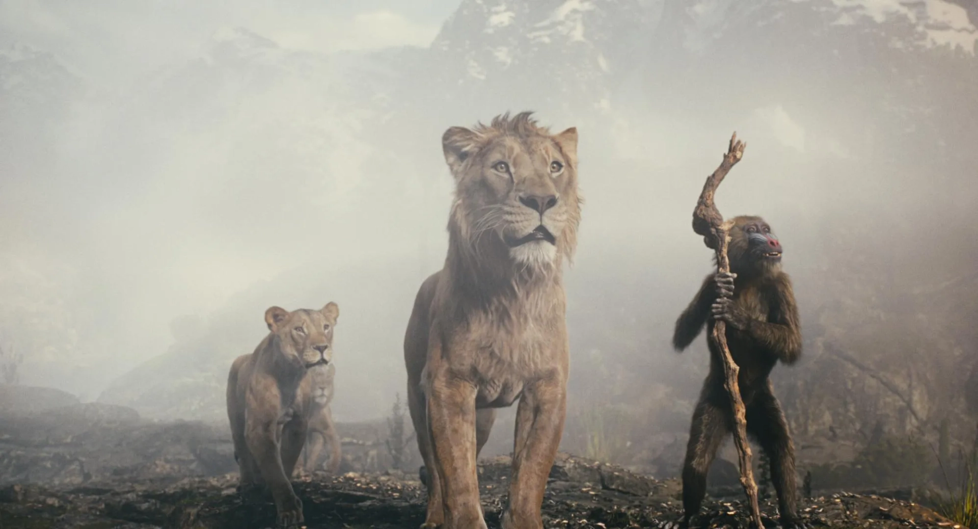 John Kani, Tiffany Boone, Kelvin Harrison Jr., and Aaron Pierre in Mufasa: The Lion King (2024)