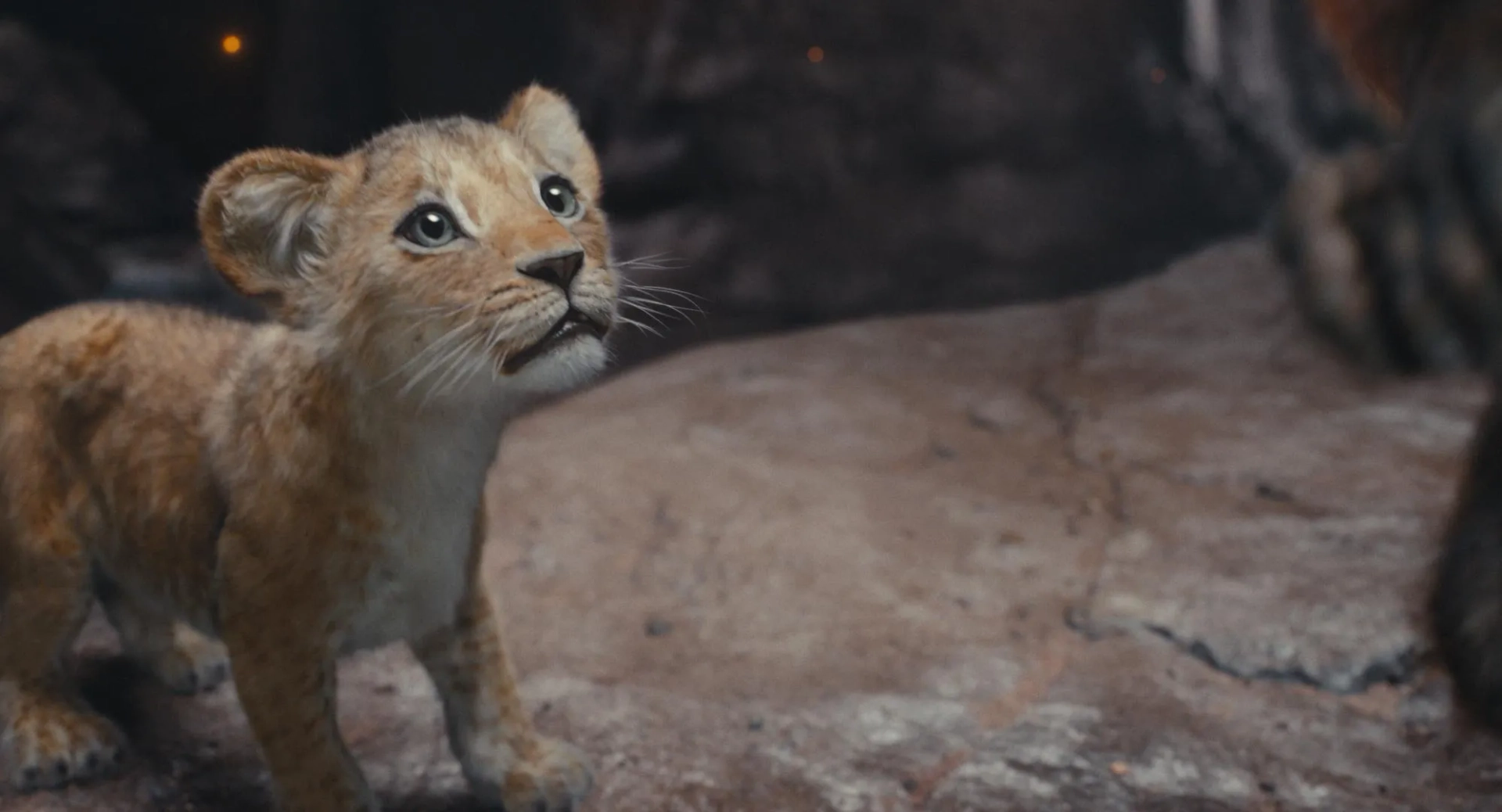 Blue Ivy Carter in Mufasa: The Lion King (2024)