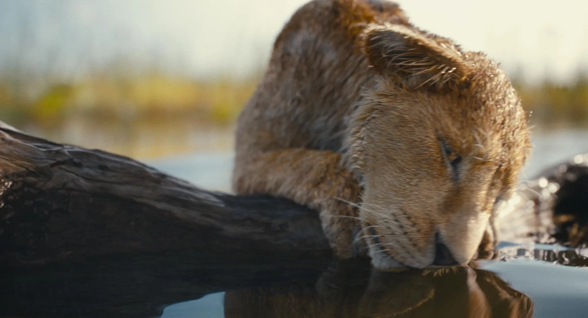 Braelyn Rankins in Mufasa: The Lion King (2024)