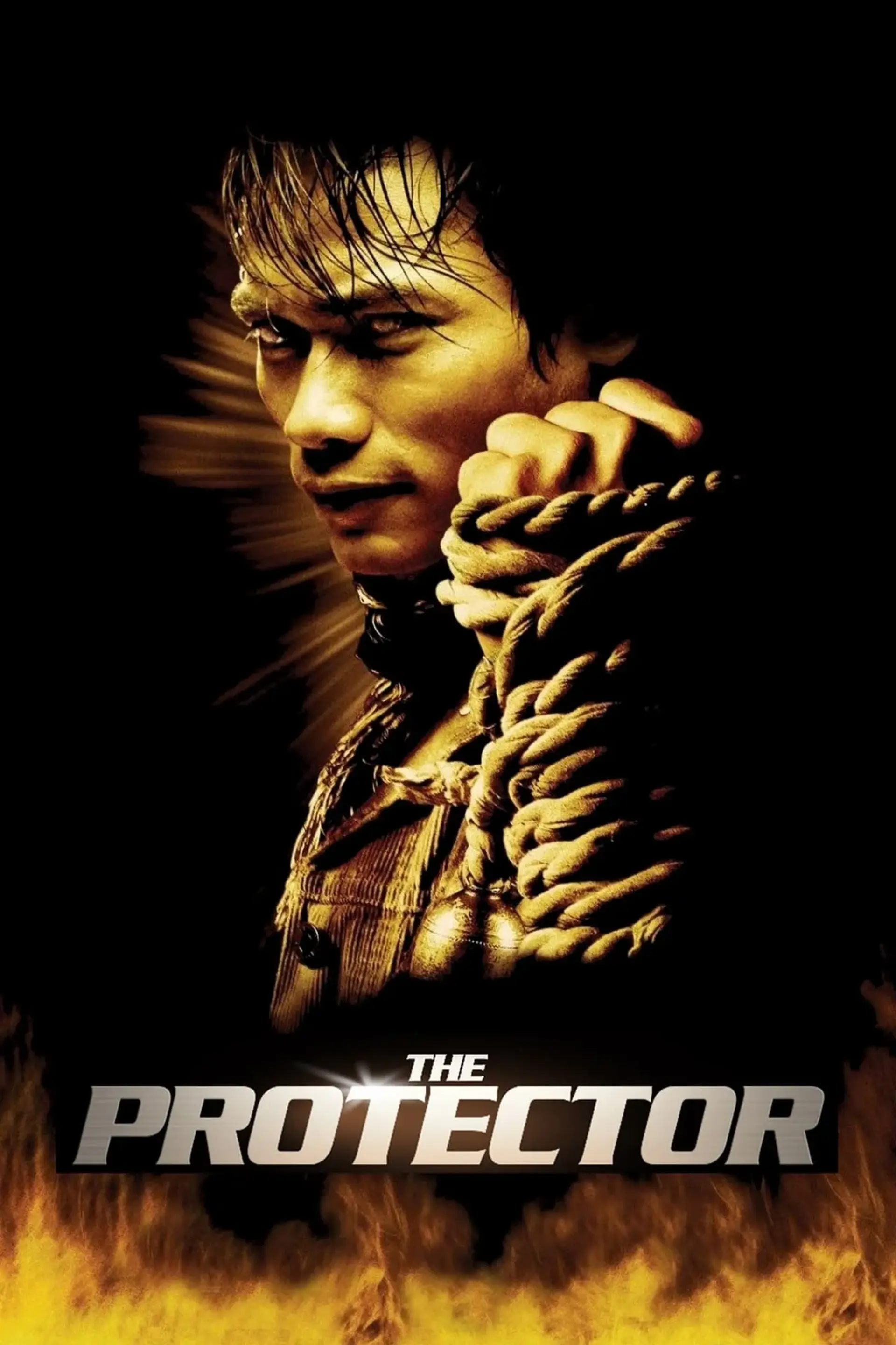 فیلم نگهبان (The Protector 2005)