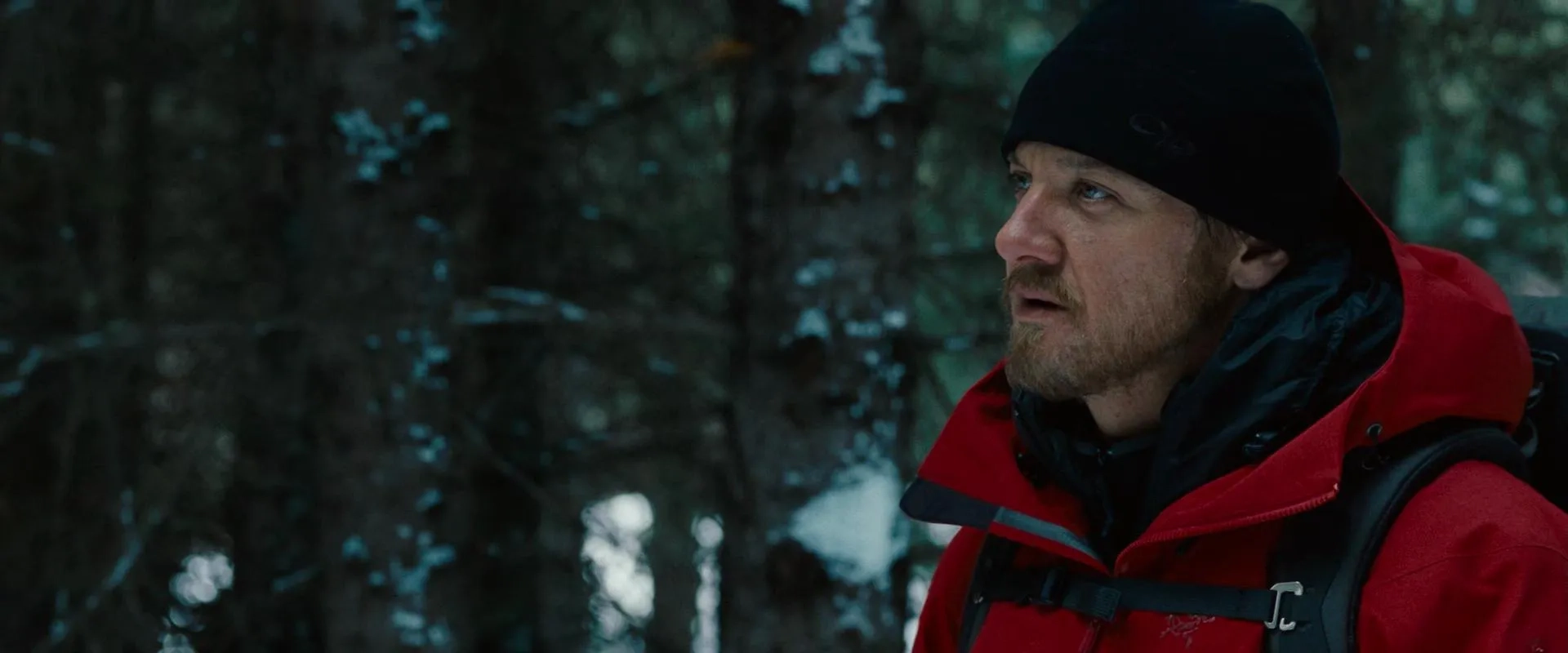 فیلم میراث بورن (The Bourne Legacy 2012)