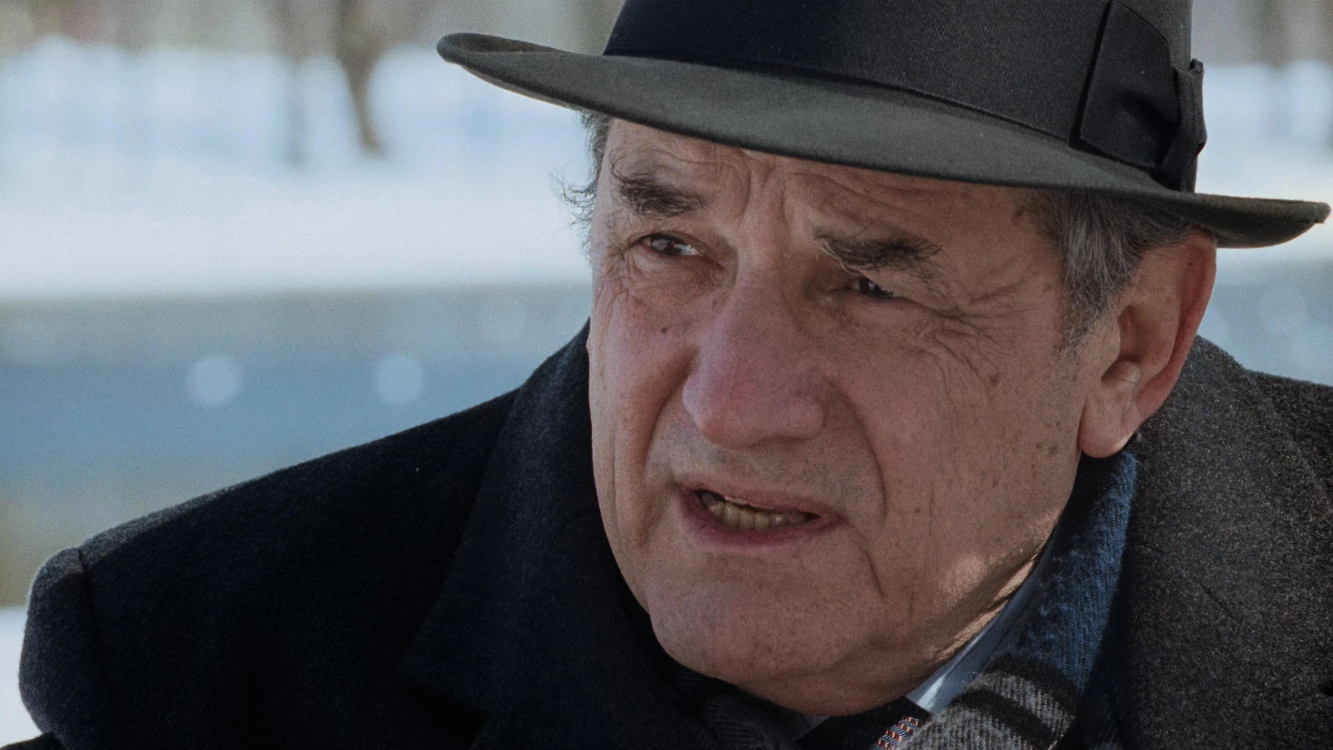 Steven Hill in The Firm (1993)