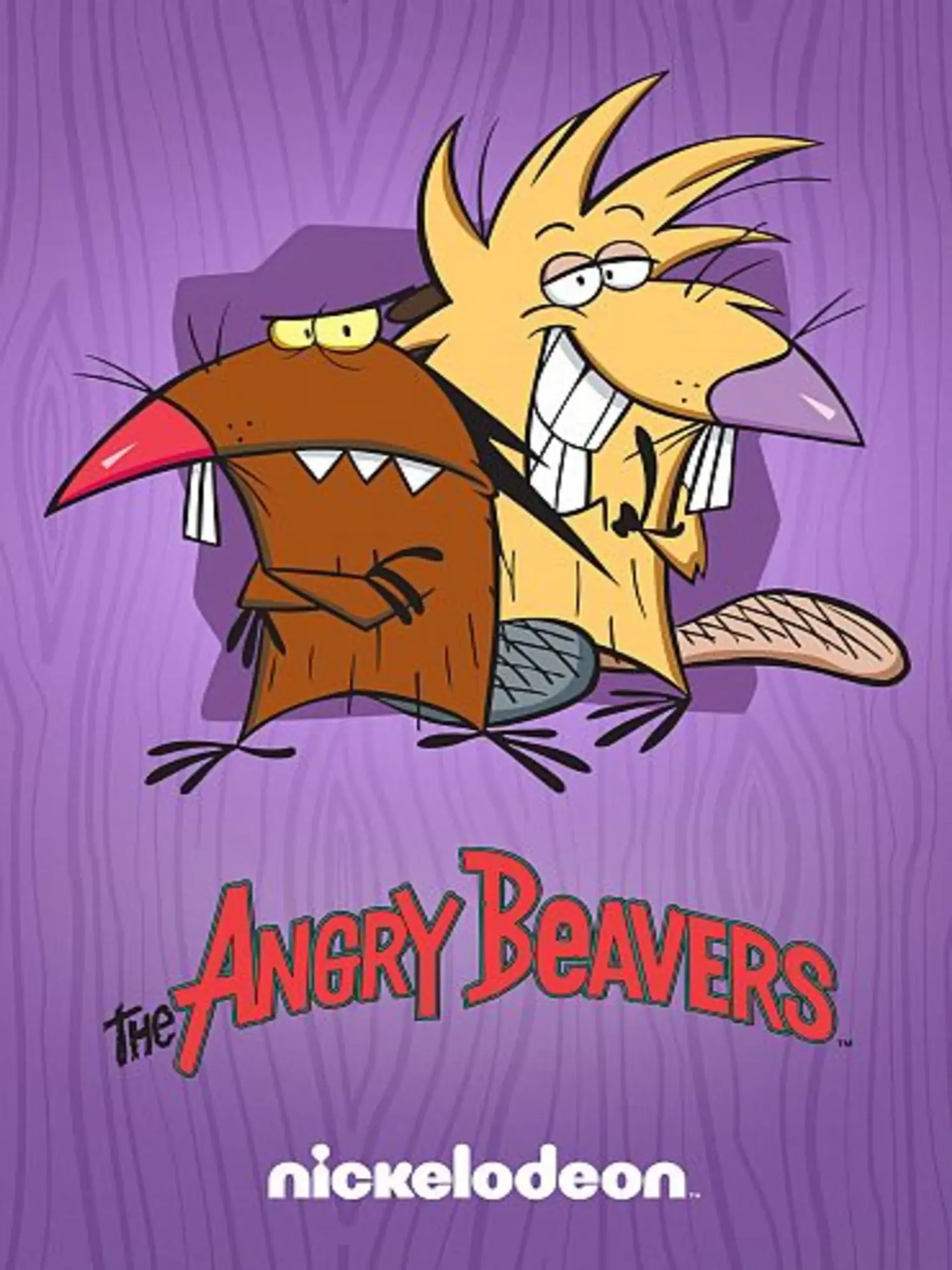 انیمیشن سگ های آبی (The Angry Beavers 1997)