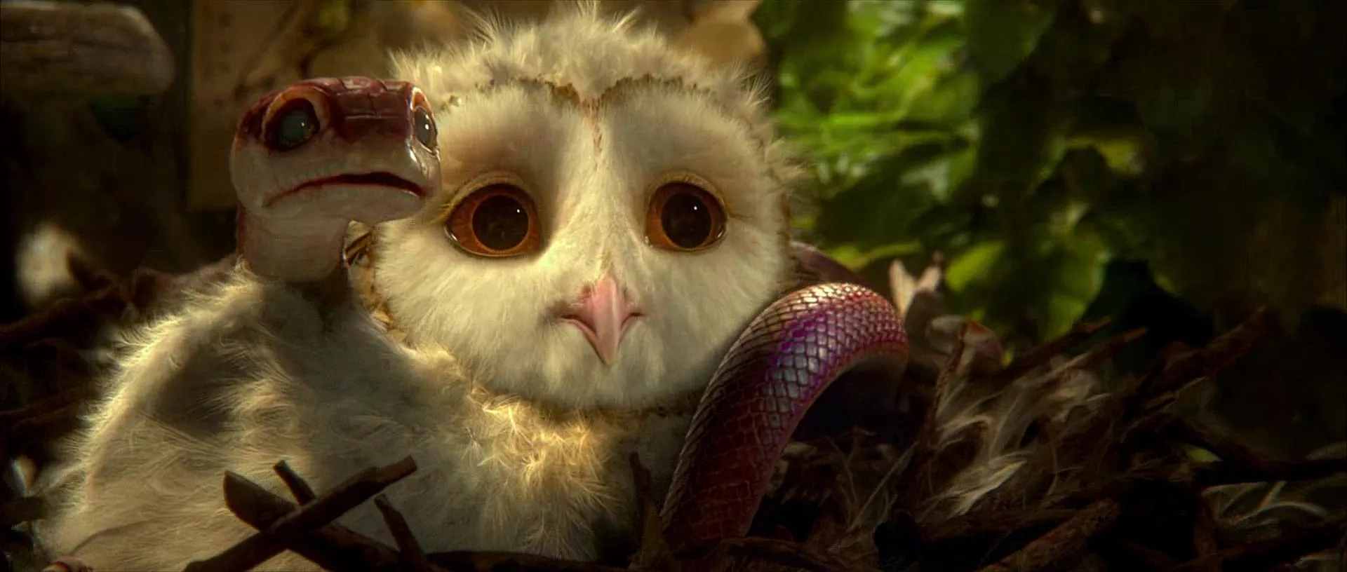 انیمیشن افسانه نگهبانان: جغدهای گاهول (Legend of the Guardians: The Owls of Ga'Hoole 2010)