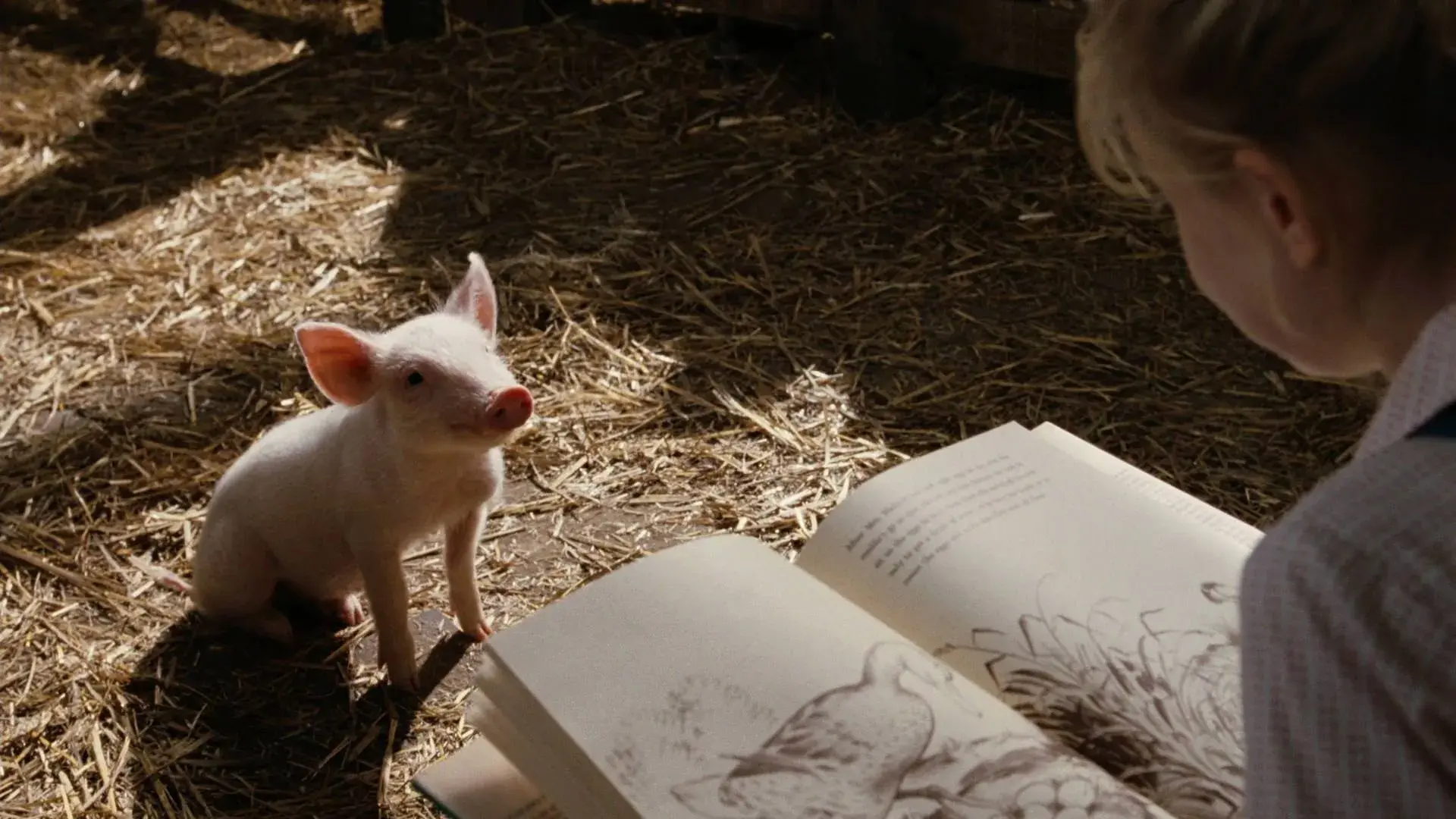 فیلم دنیای شارلوت (Charlotte's Web 2006)