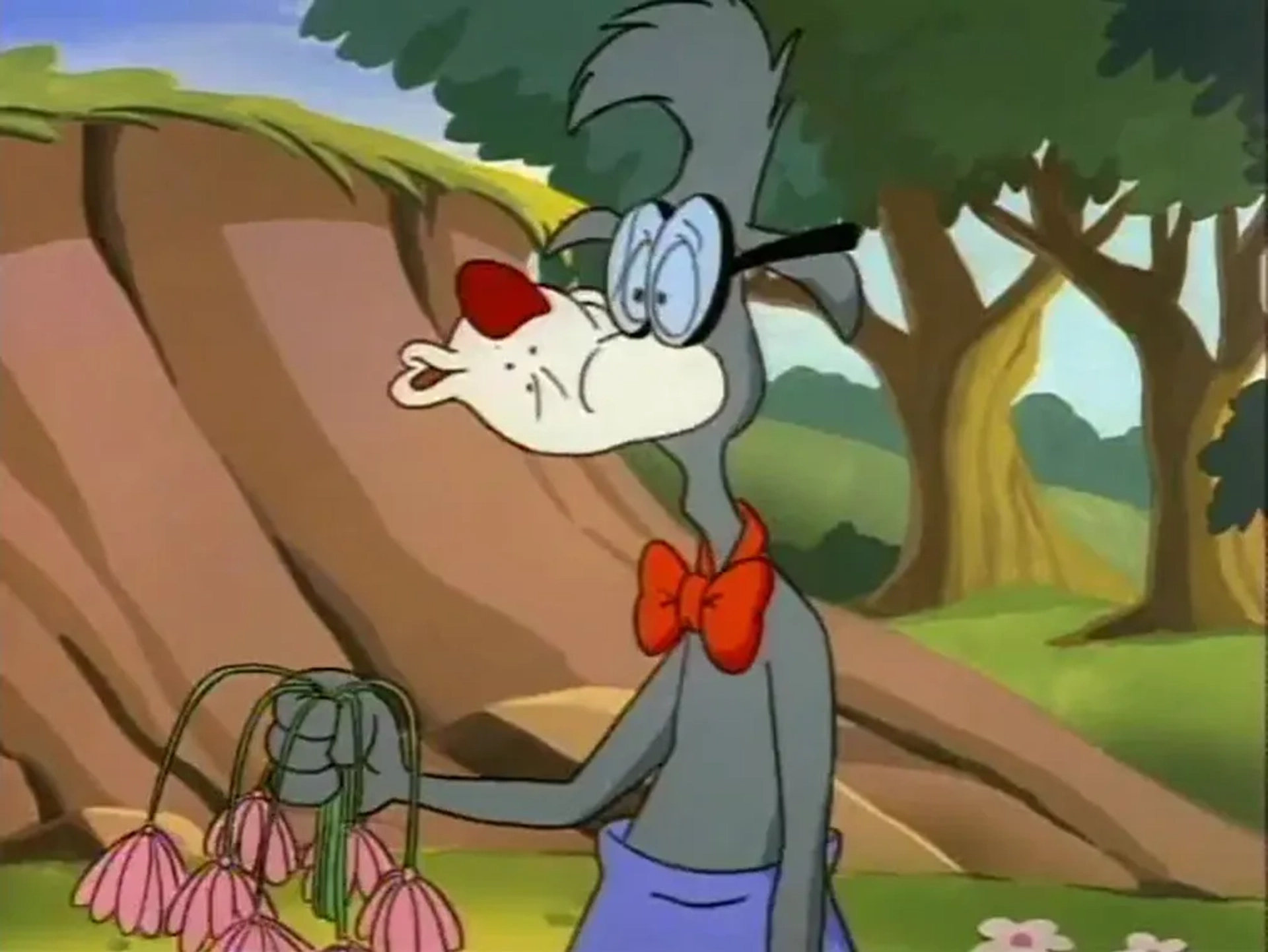 انیمیشن انیمینیاکس (Animaniacs 1993)