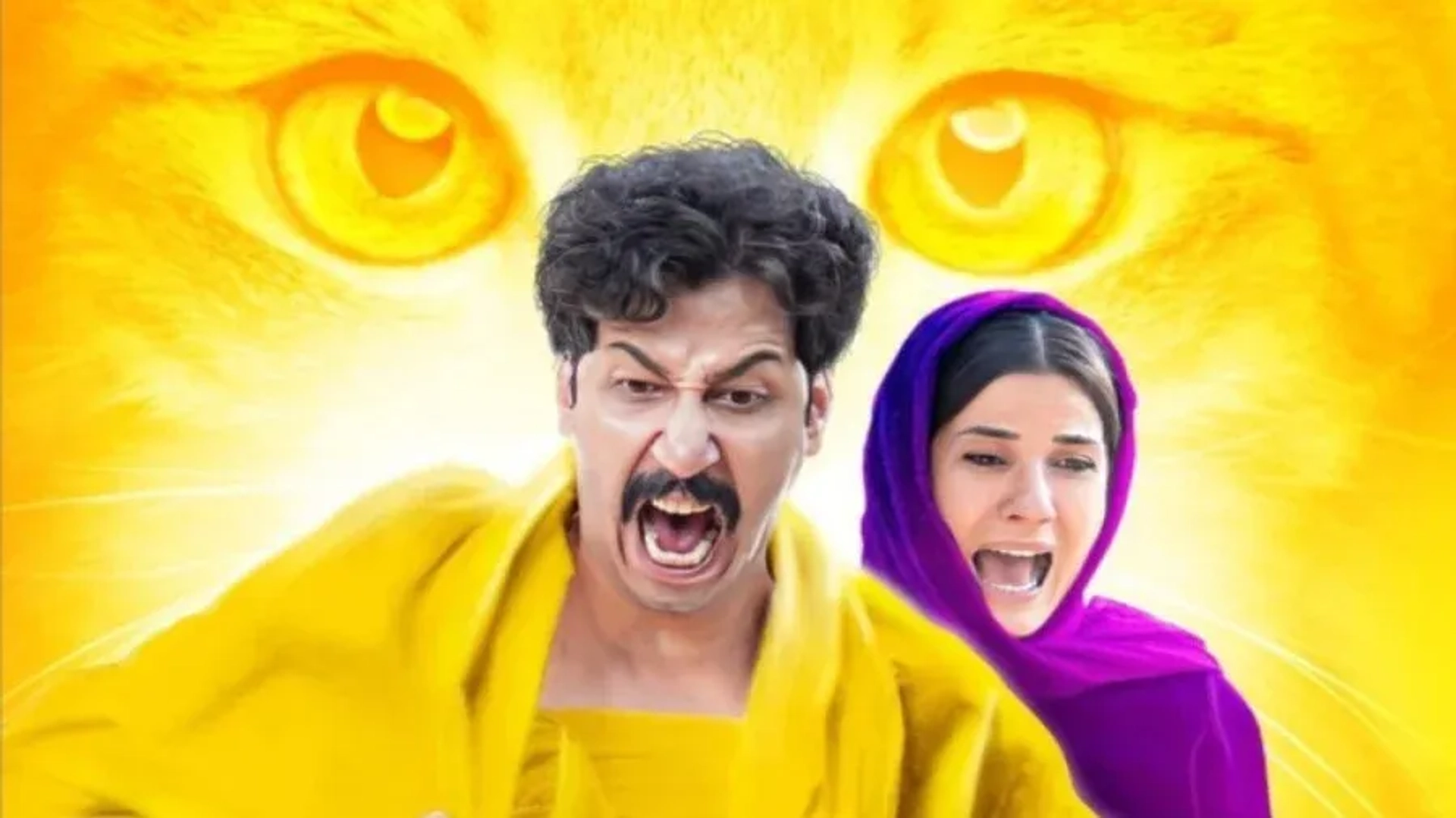 فیلم-سال-گربه