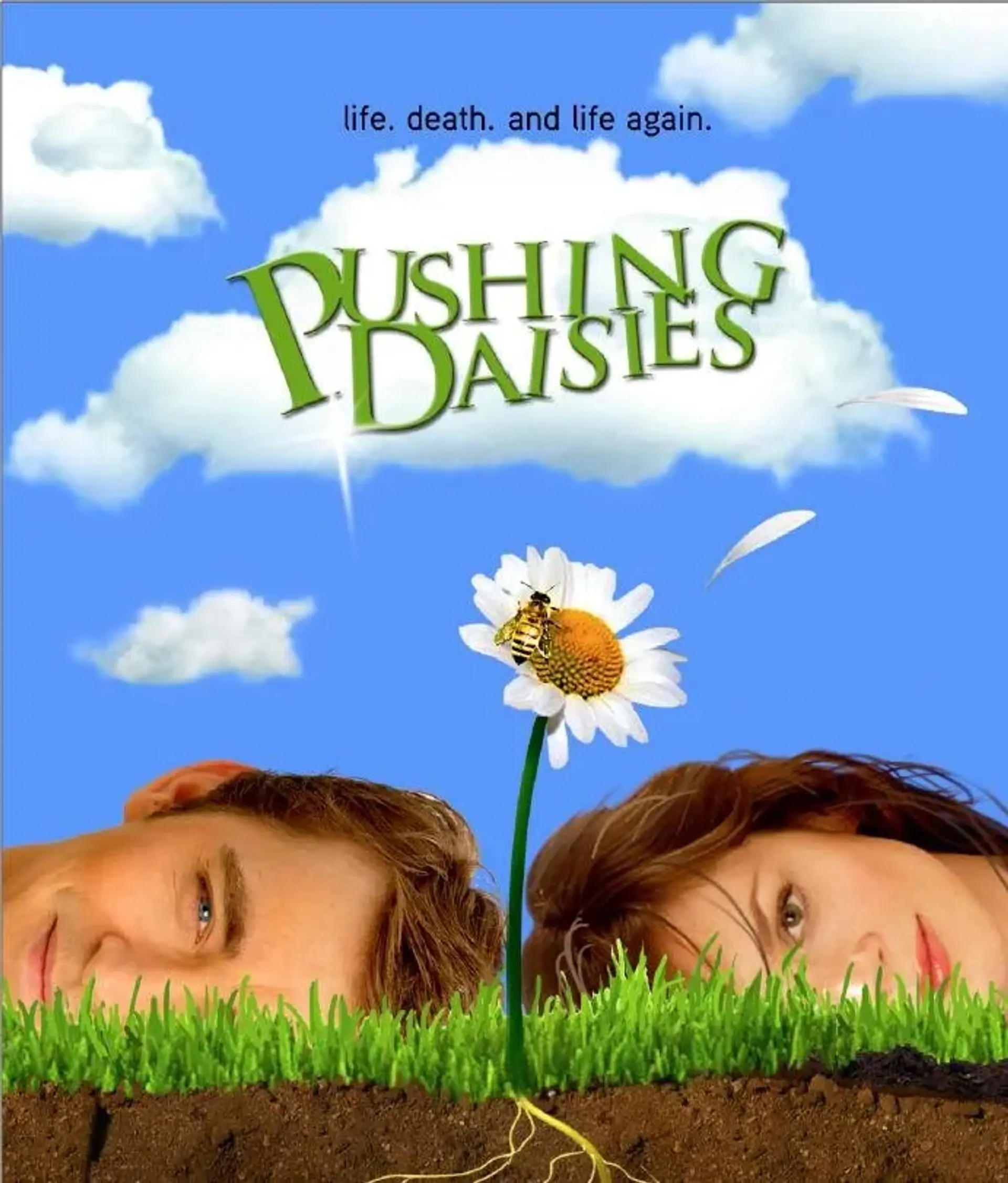 سریال دیزی های جسور (Pushing Daisies 2007)