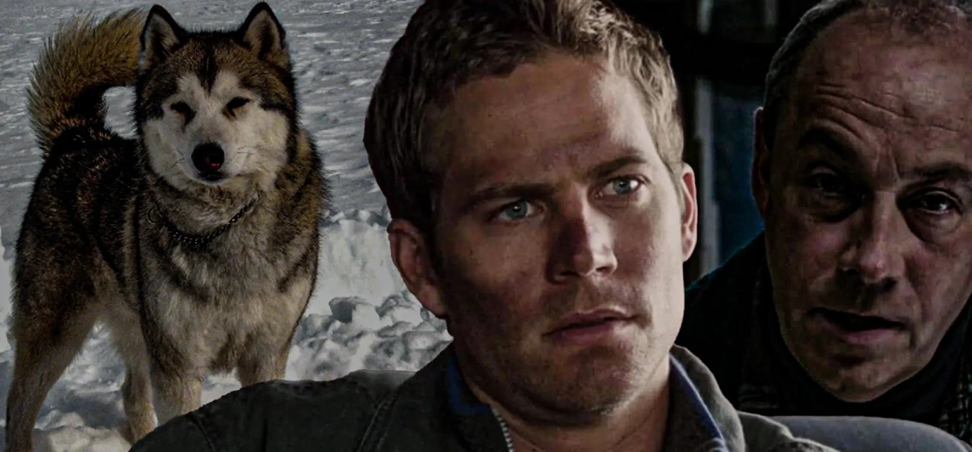 دانلود فیلم هشت درجه زیر صفر (Eight Below 2006)