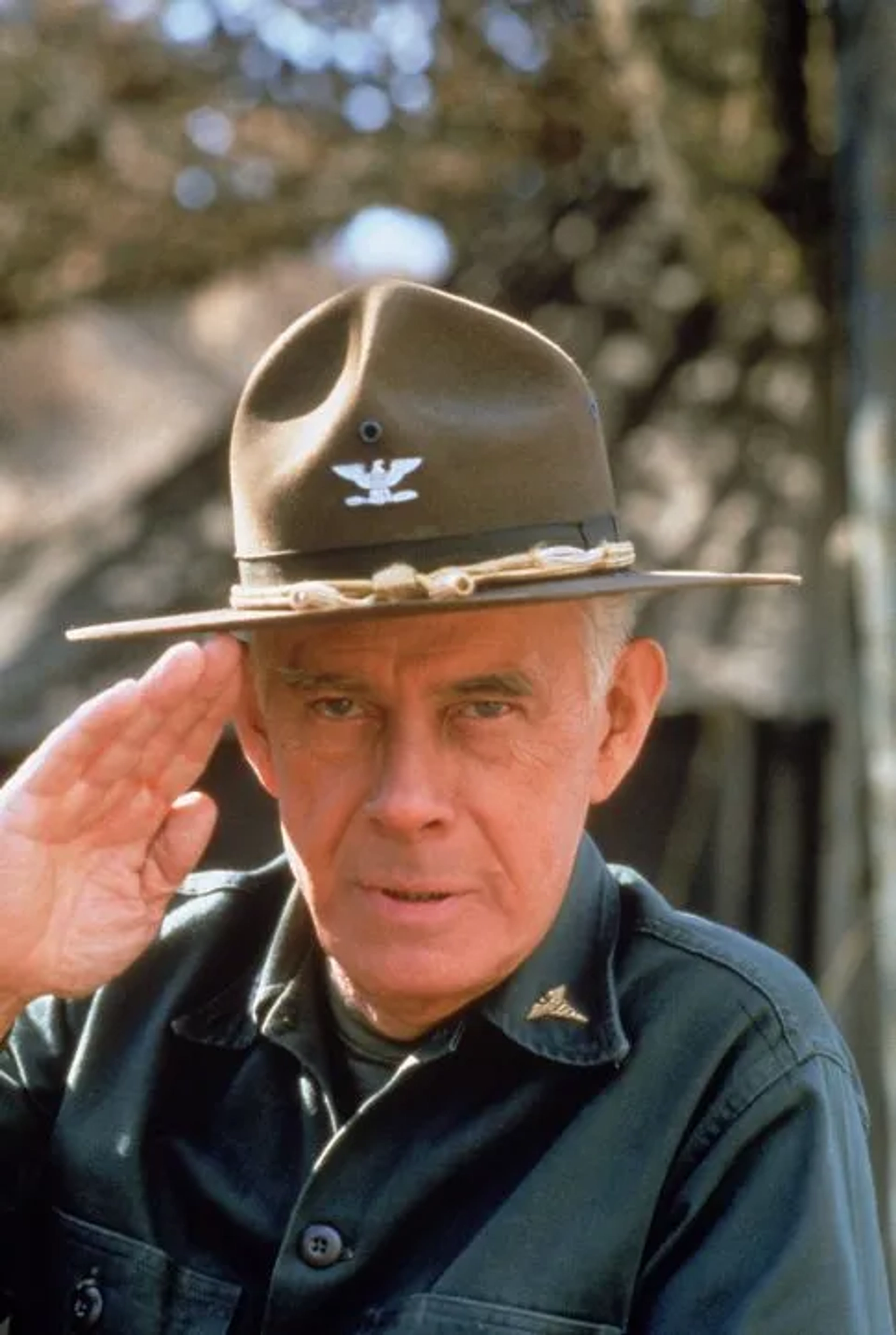 Harry Morgan in M*A*S*H (1972)