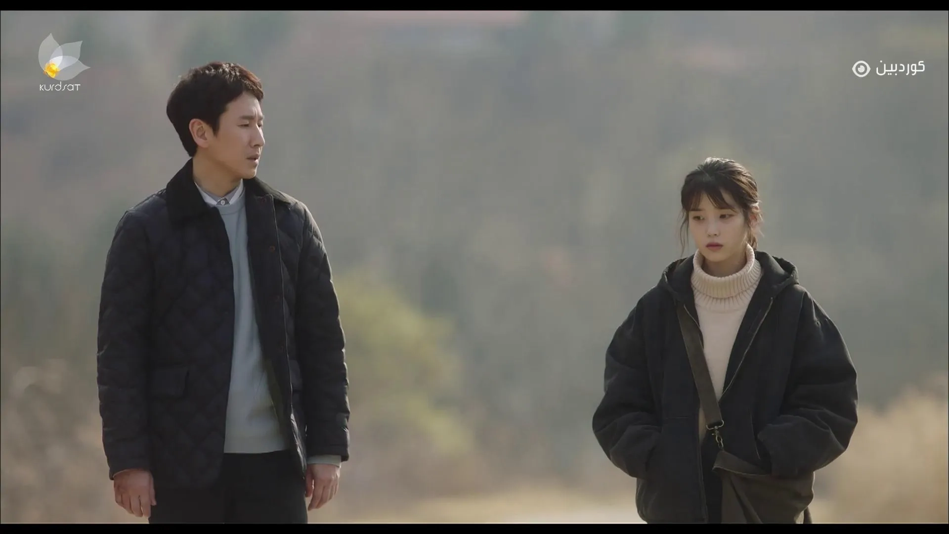 My Mister (2018)