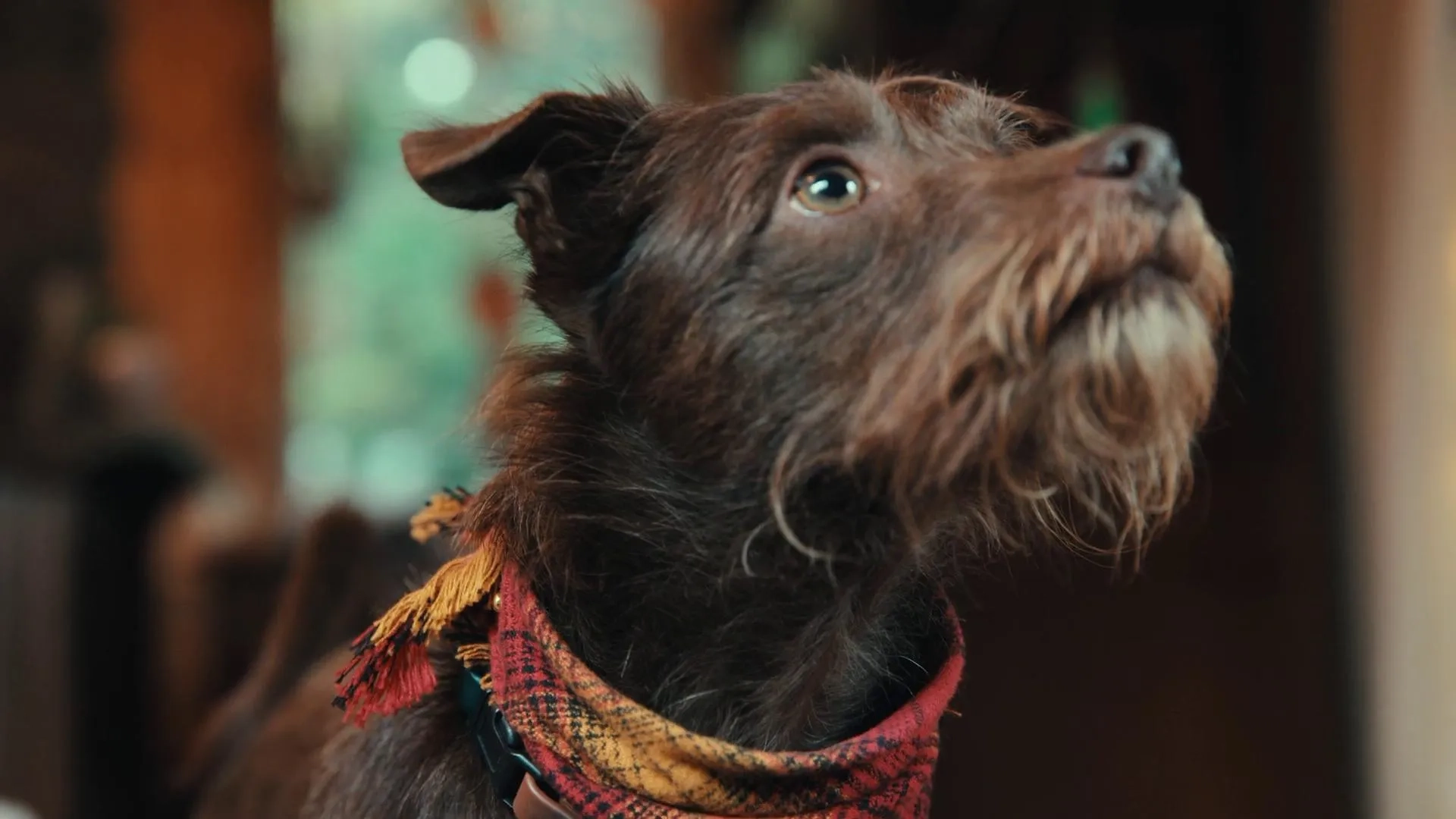 Bastian the Talking Terrier in Inside the Mind of a Dog (2024)