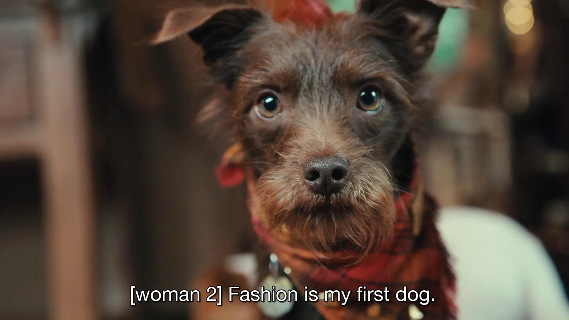 Bastian the Talking Terrier in Inside the Mind of a Dog (2024)
