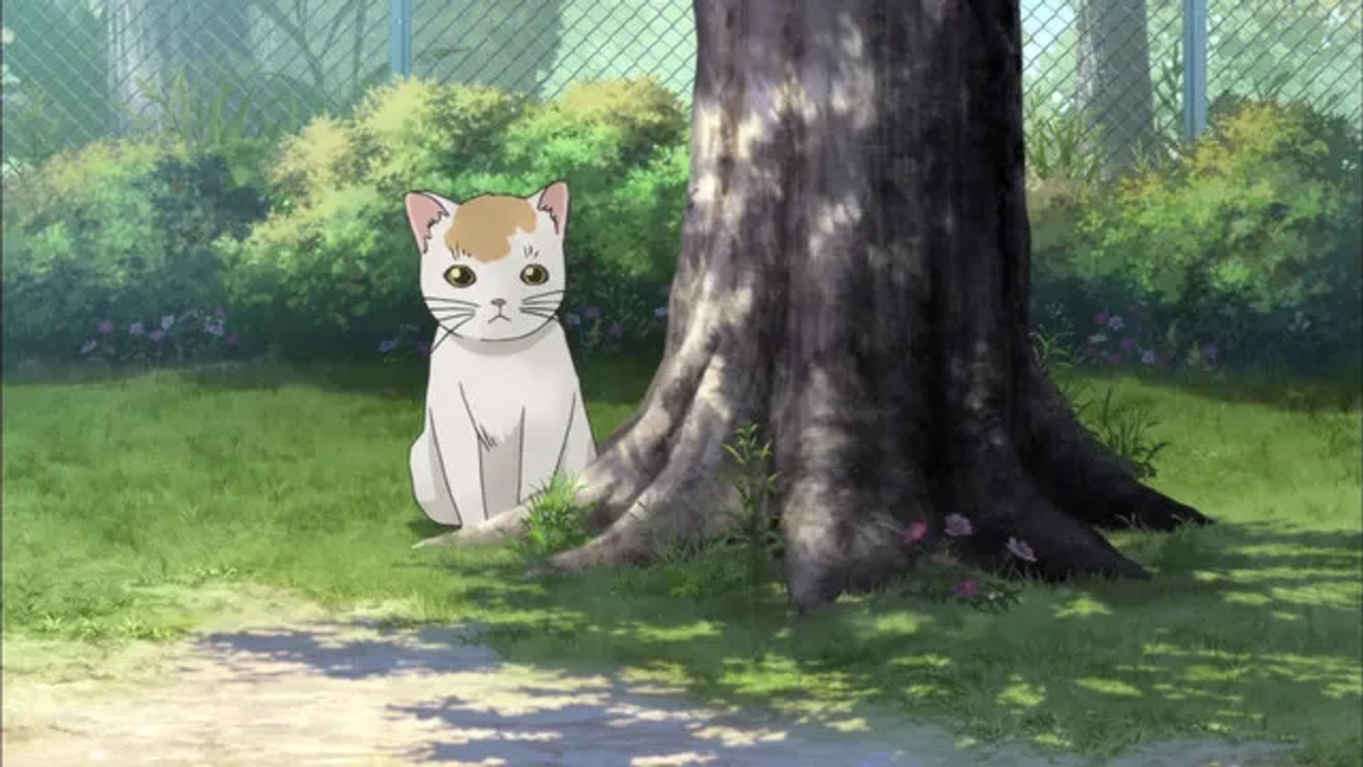 Say "I love you" (2012)