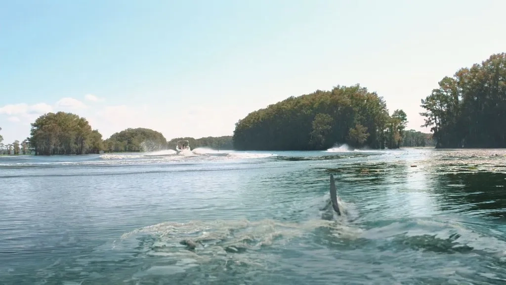 فیلم شب کوسه ای (Shark Night 2011)