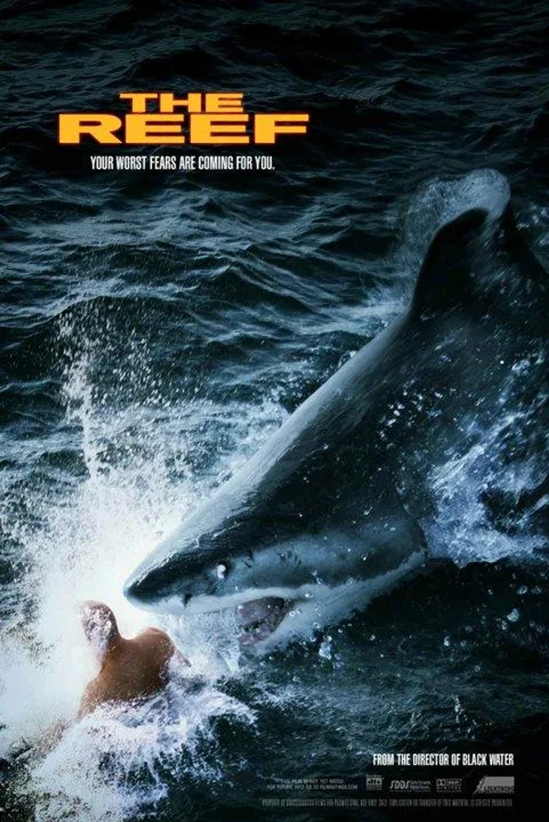 فیلم صخره (The Reef 2010)