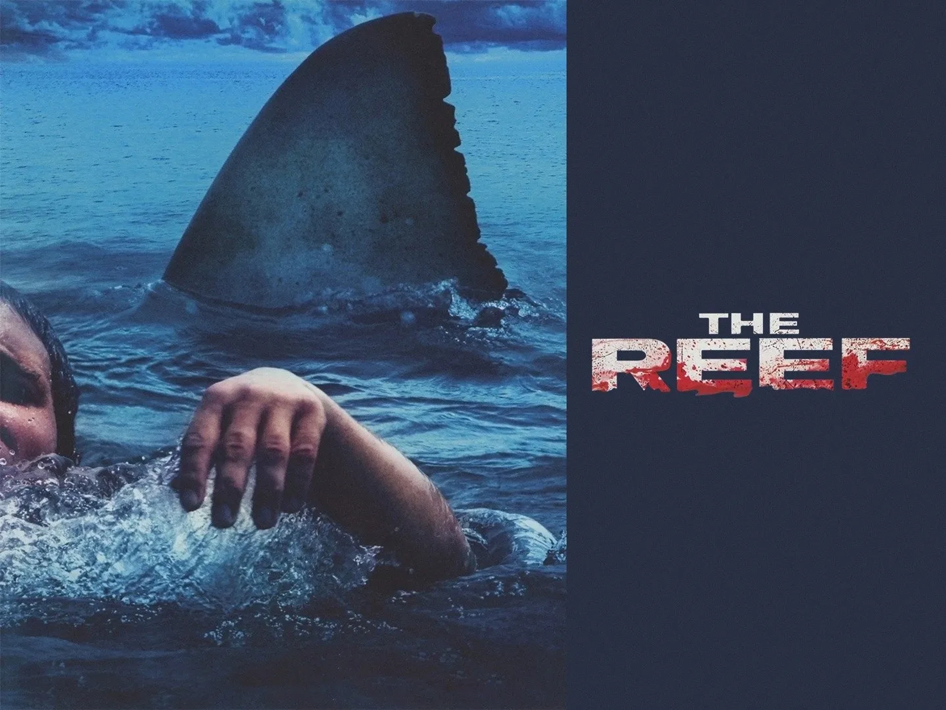 فیلم صخره (The Reef 2010)