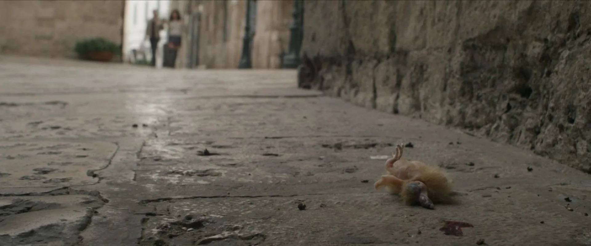 Spring (2014)