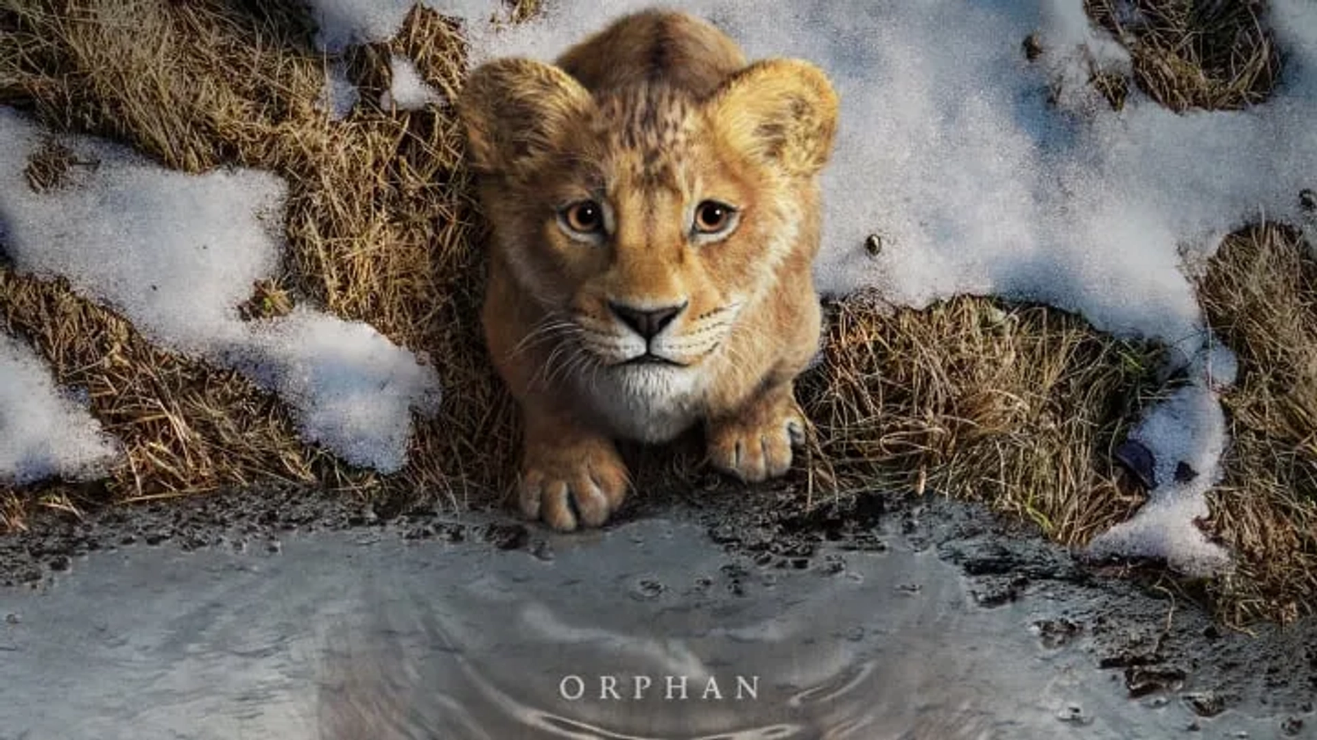 فیلم موفاسا: شیر شاه (Mufasa: The Lion King 2024)