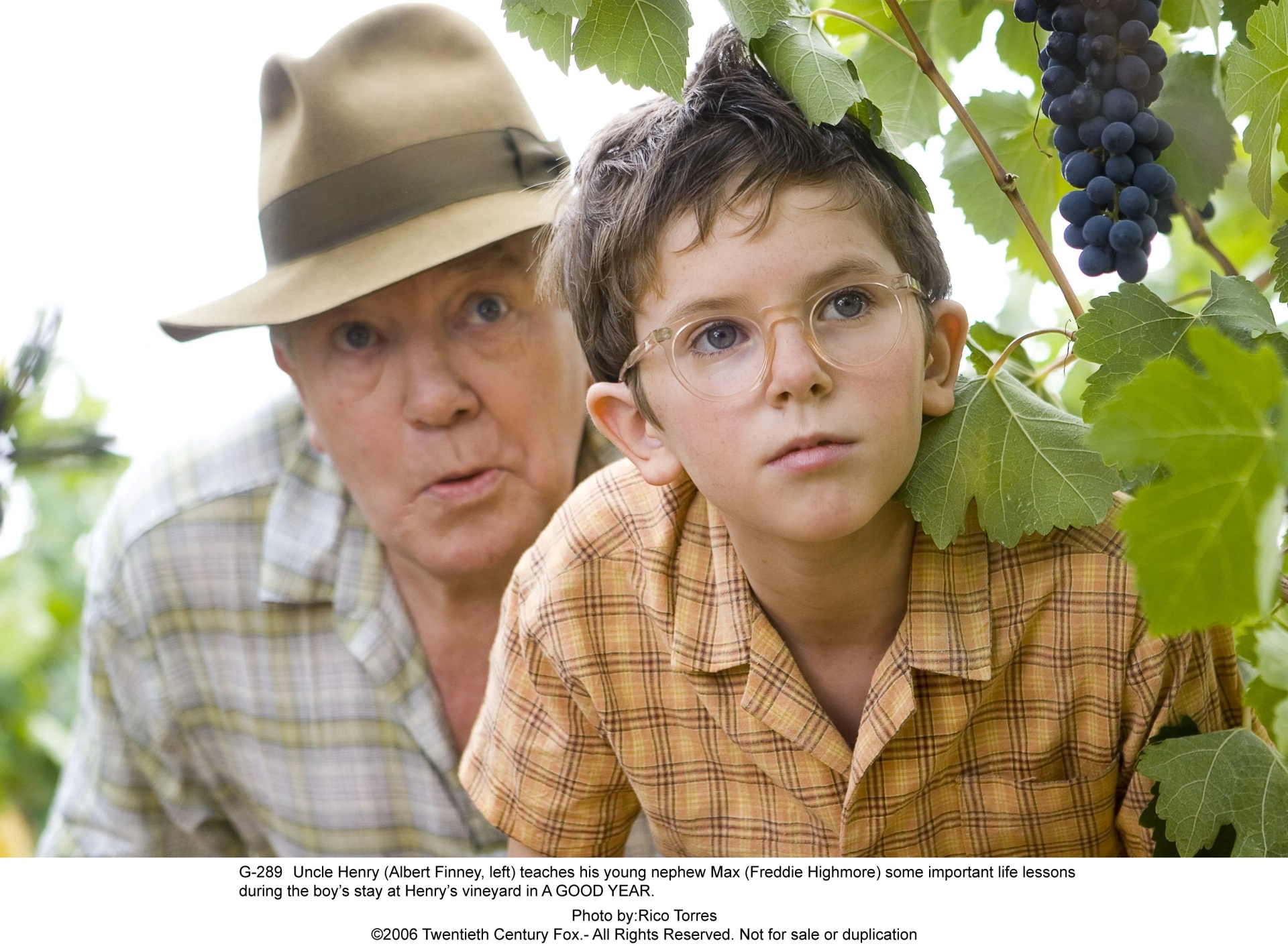 Albert Finney and Freddie Highmore in A Good Year (2006)