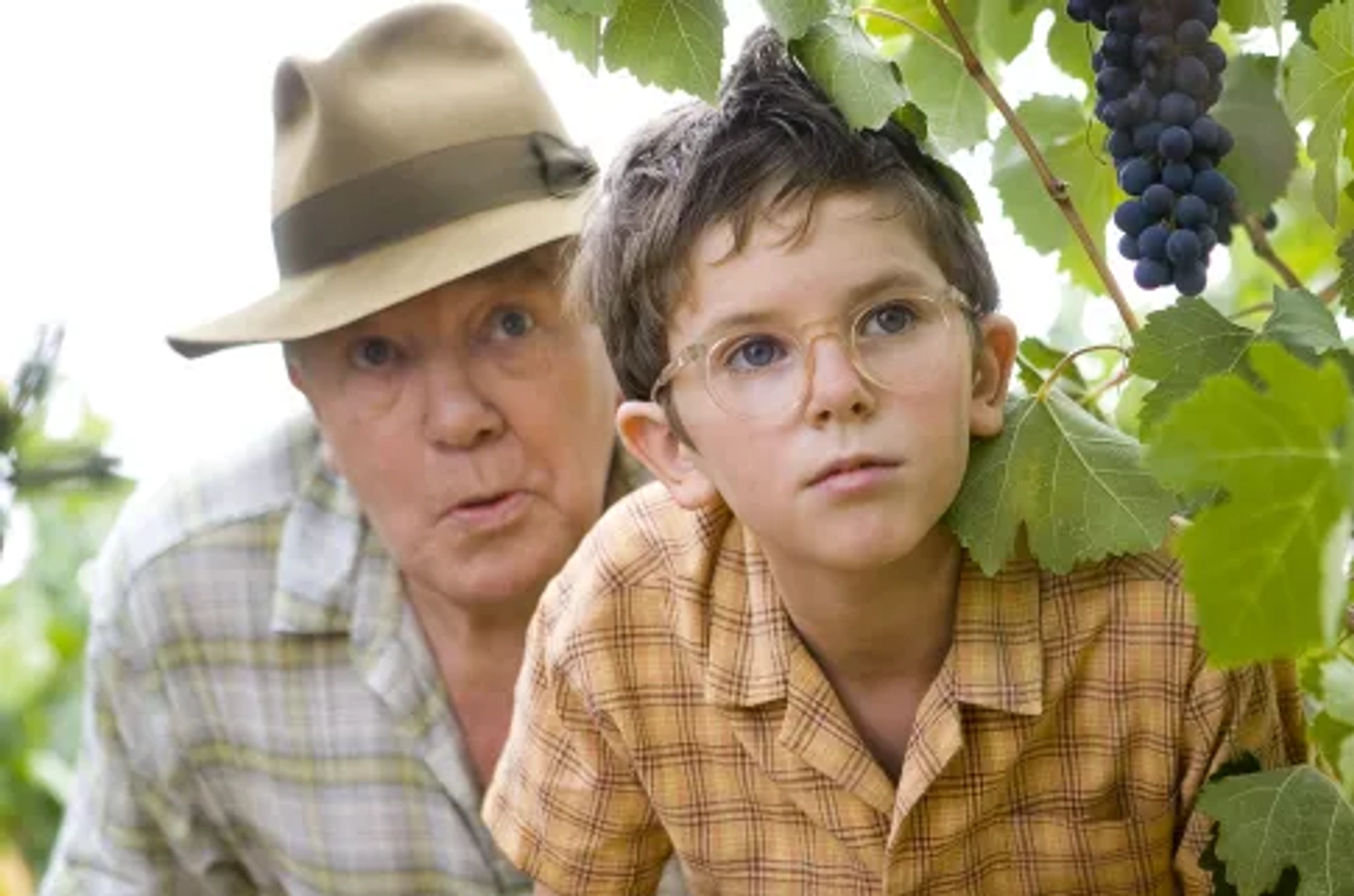 Albert Finney and Freddie Highmore in A Good Year (2006)