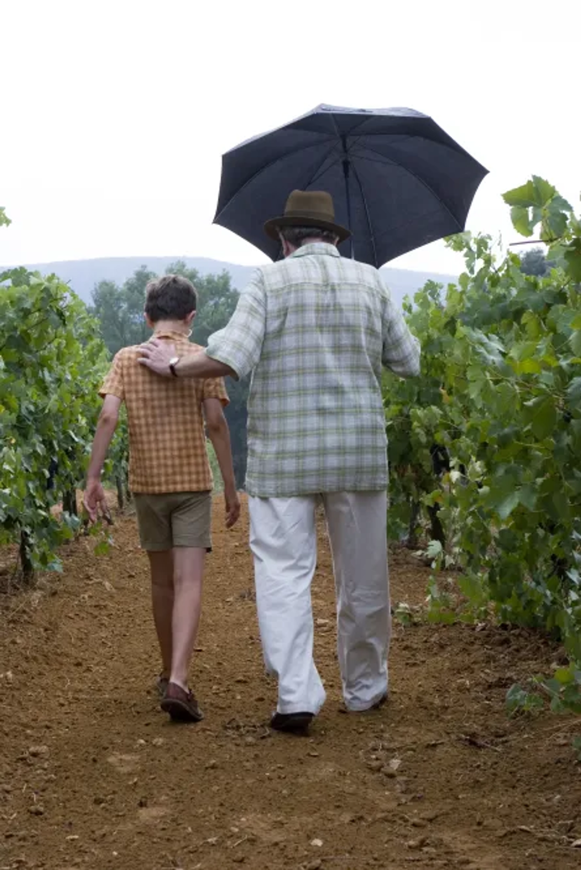 Albert Finney and Freddie Highmore in A Good Year (2006)