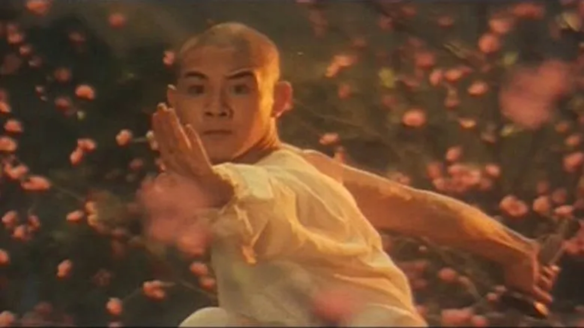 فیلم معبد شائولین (The Shaolin Temple 1982)