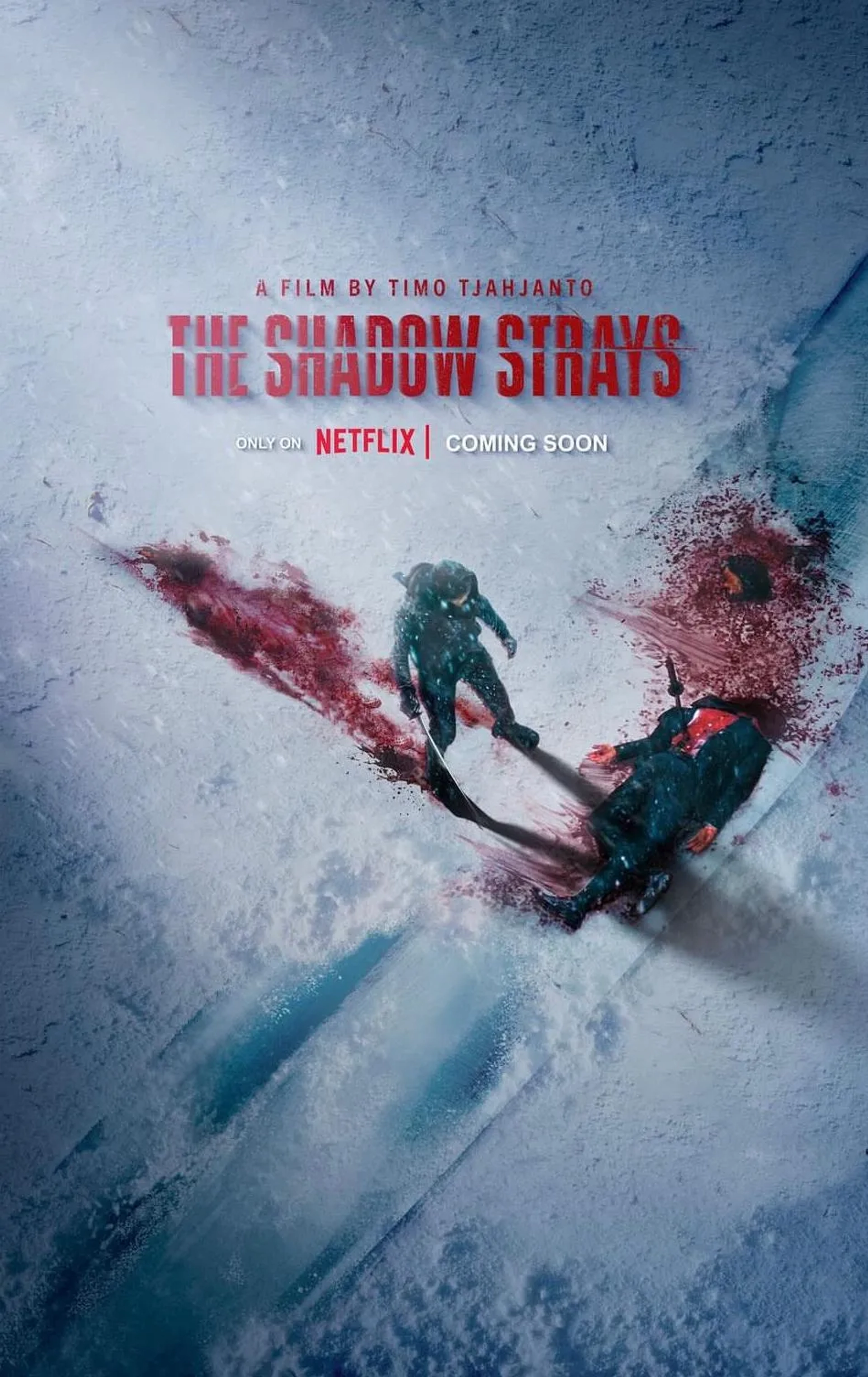 The Shadow Strays (2024)