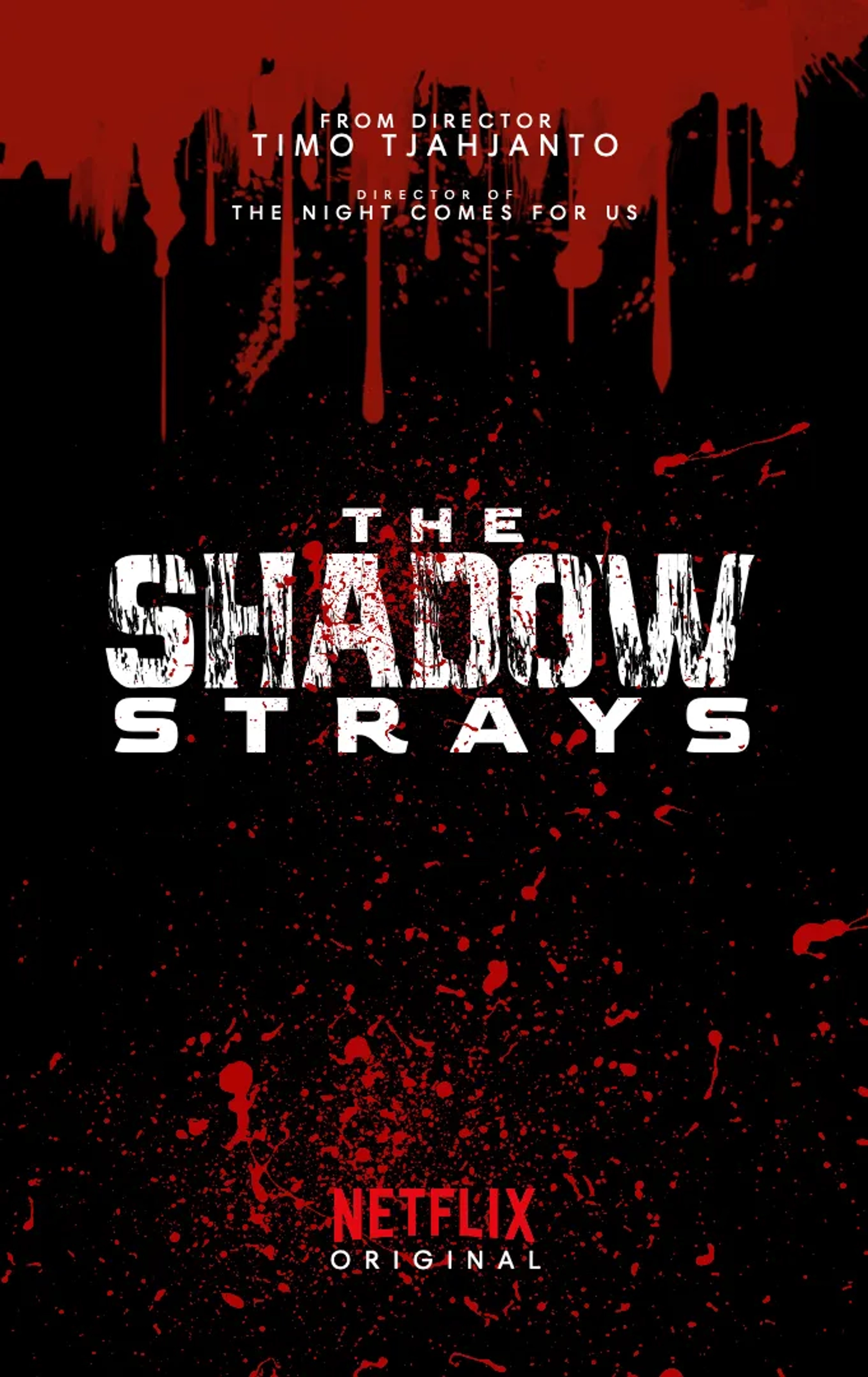 Timo Tjahjanto in The Shadow Strays (2024)