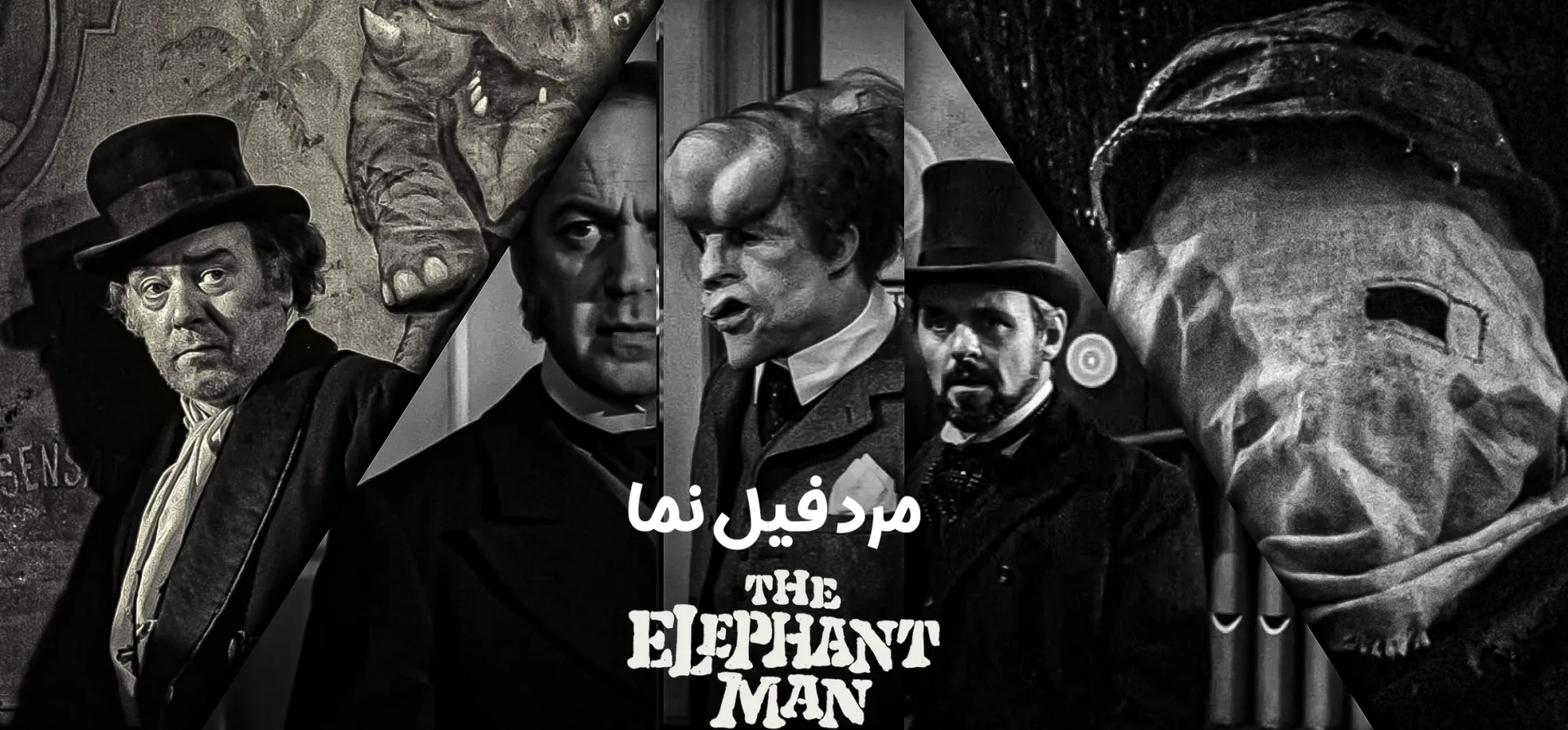 مرد-فیل-نما