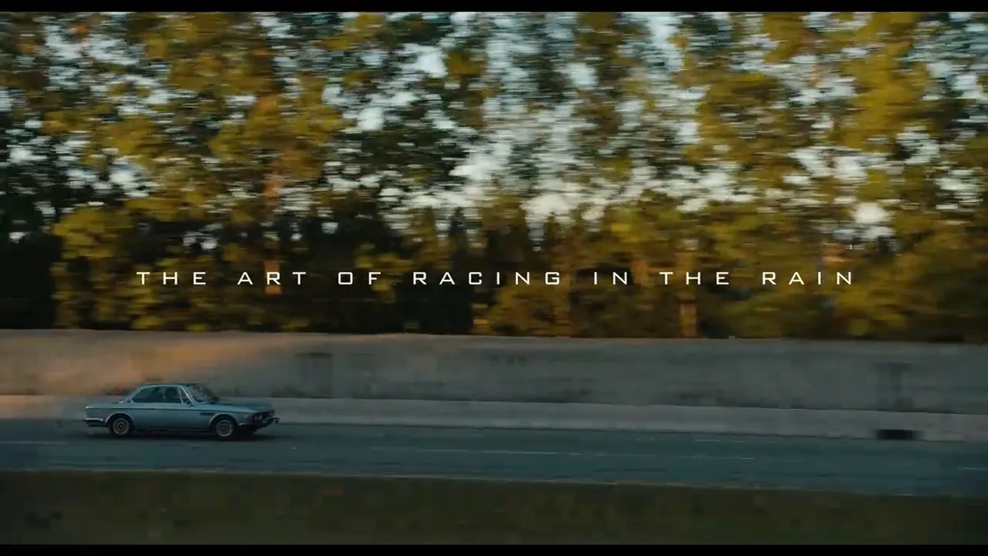 فیلم هنر مسابقه در باران (The Art of Racing in the Rain 2019)