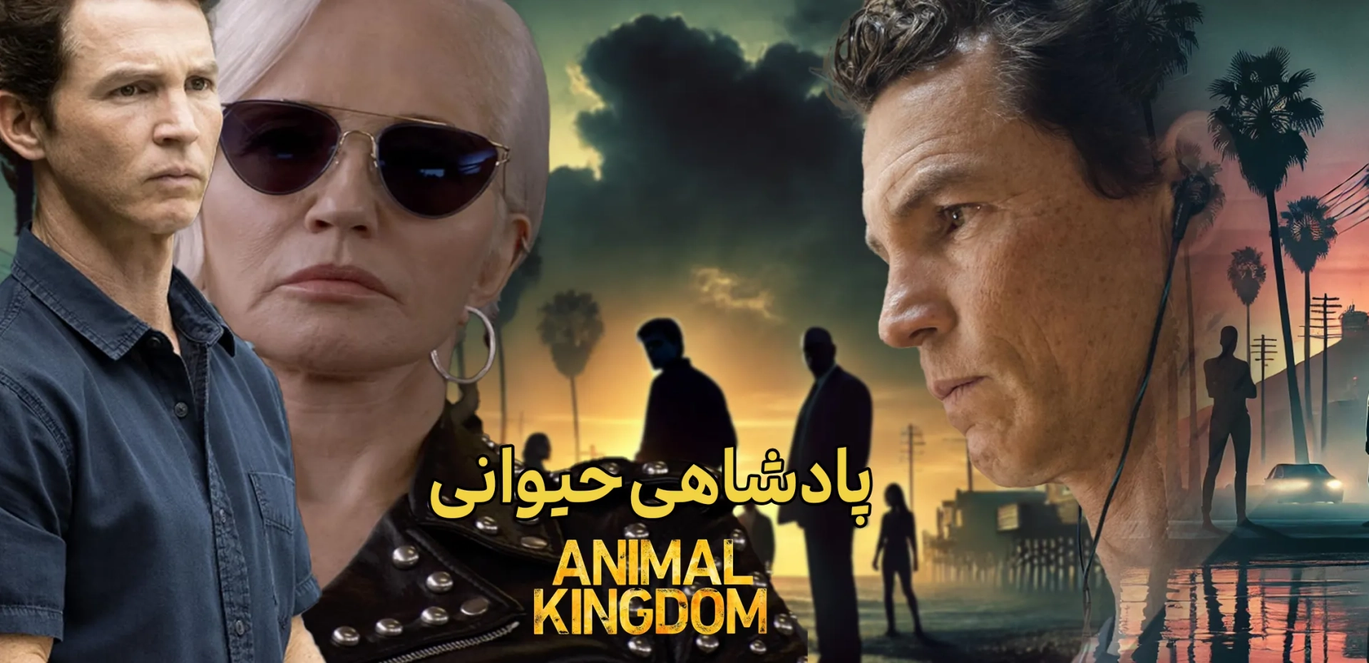 پادشاهی-حیوانی