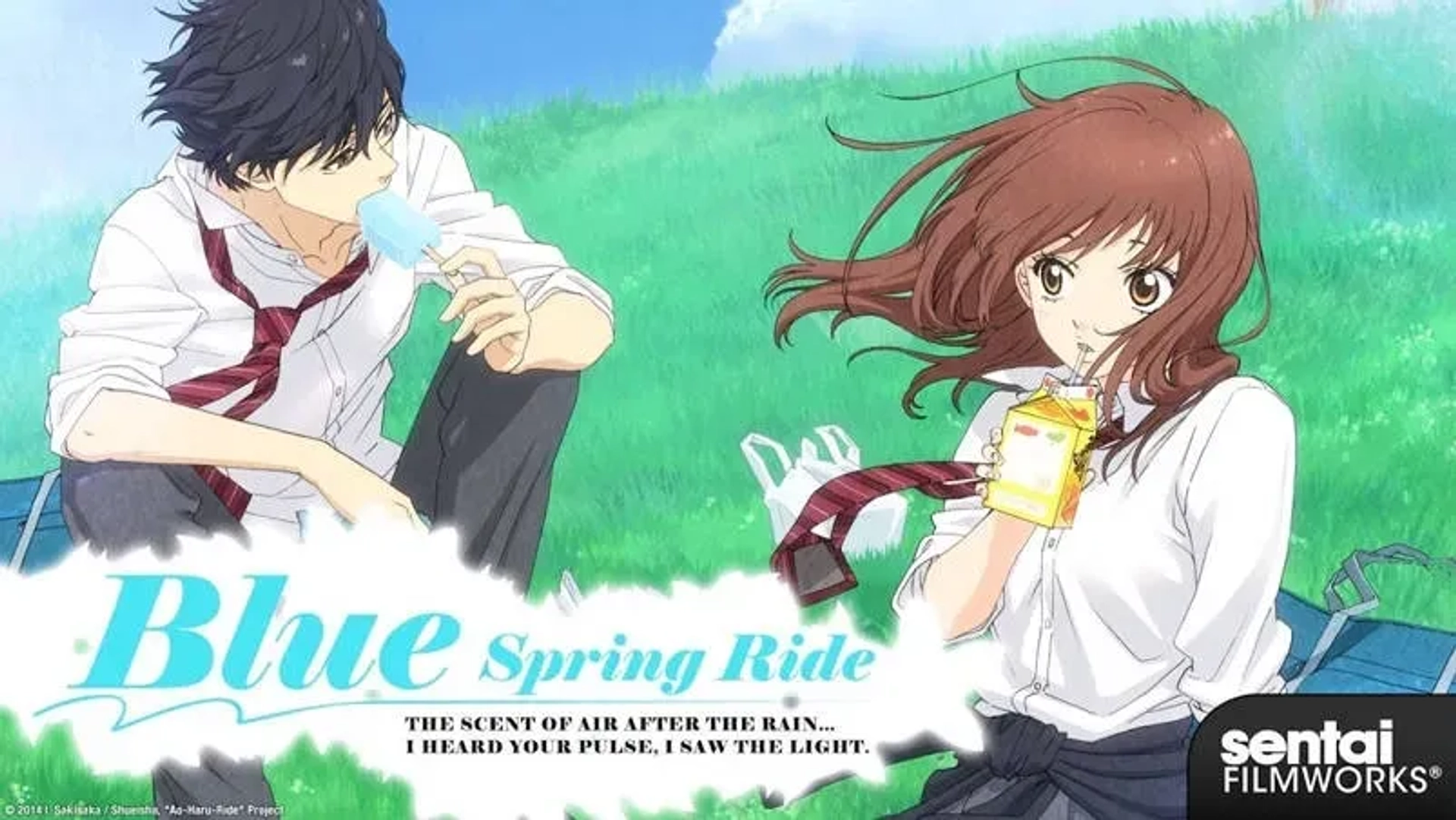 سوار-در-بهار-جوانی