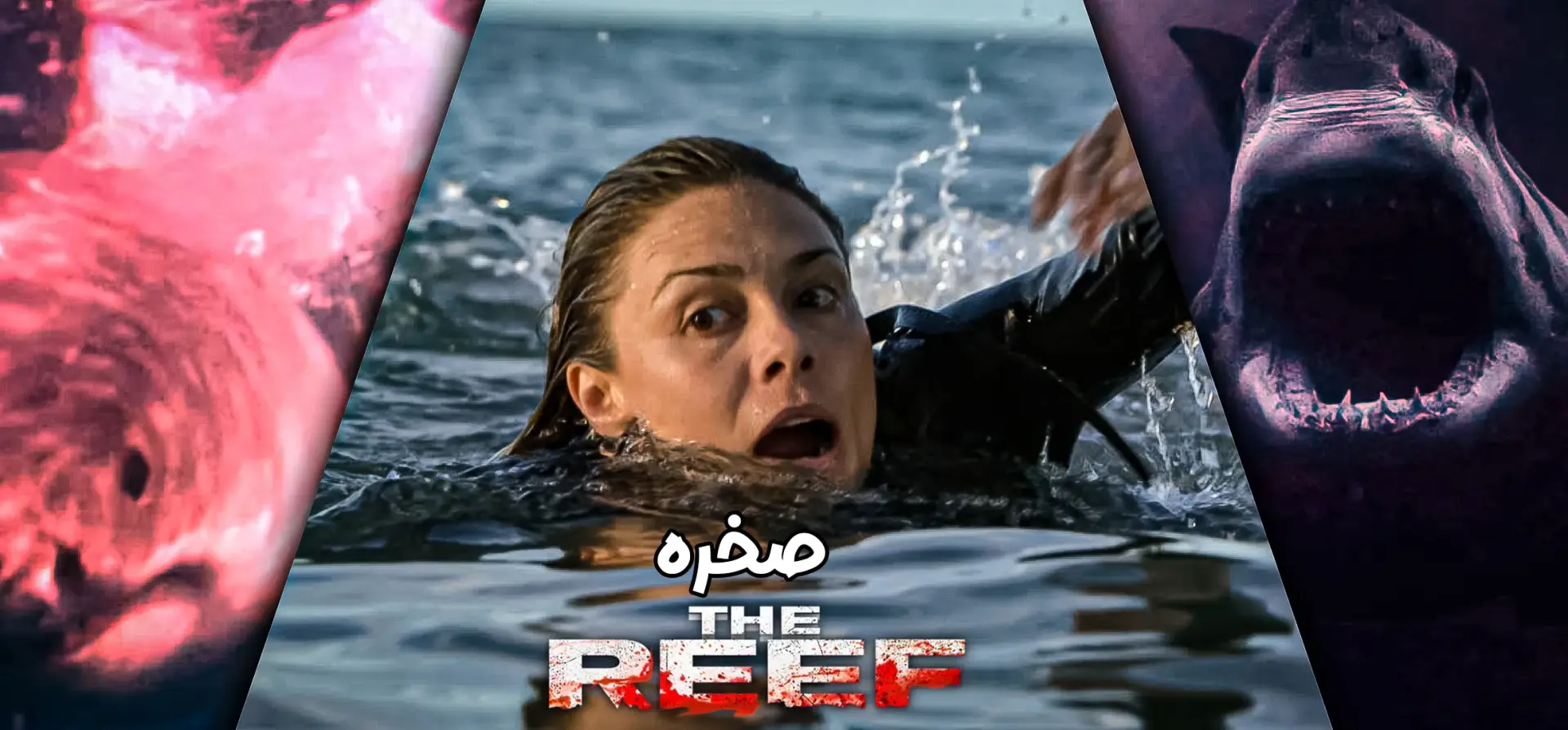 فیلم-صخره
