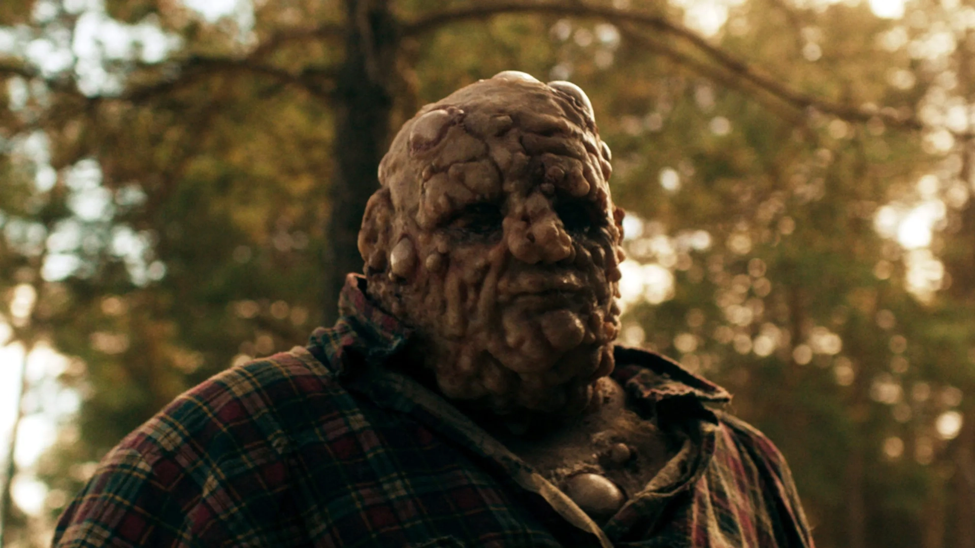Michal Zbroja in Nobody Sleeps in the Woods Tonight (2020)