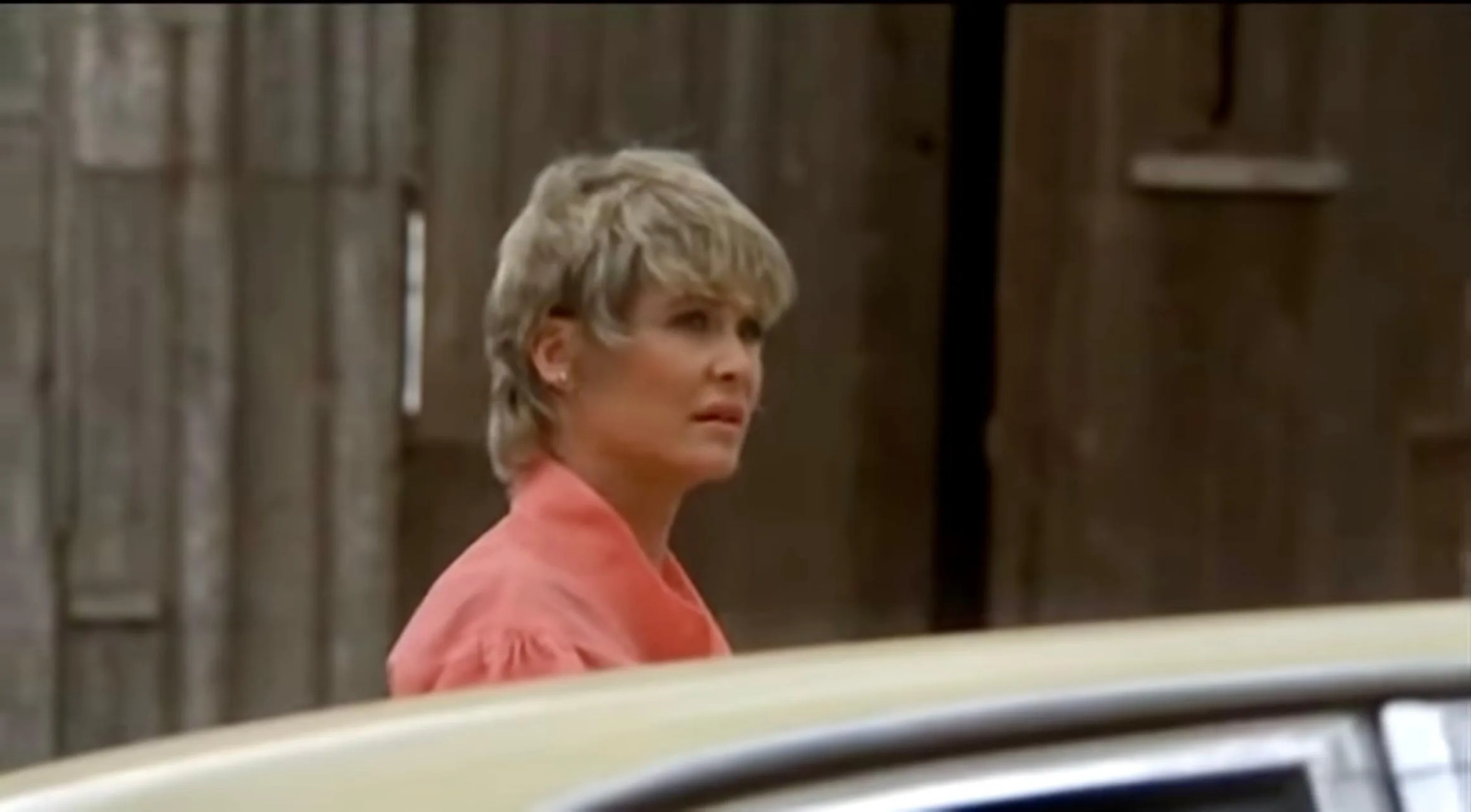 Dee Wallace in Cujo (1983)