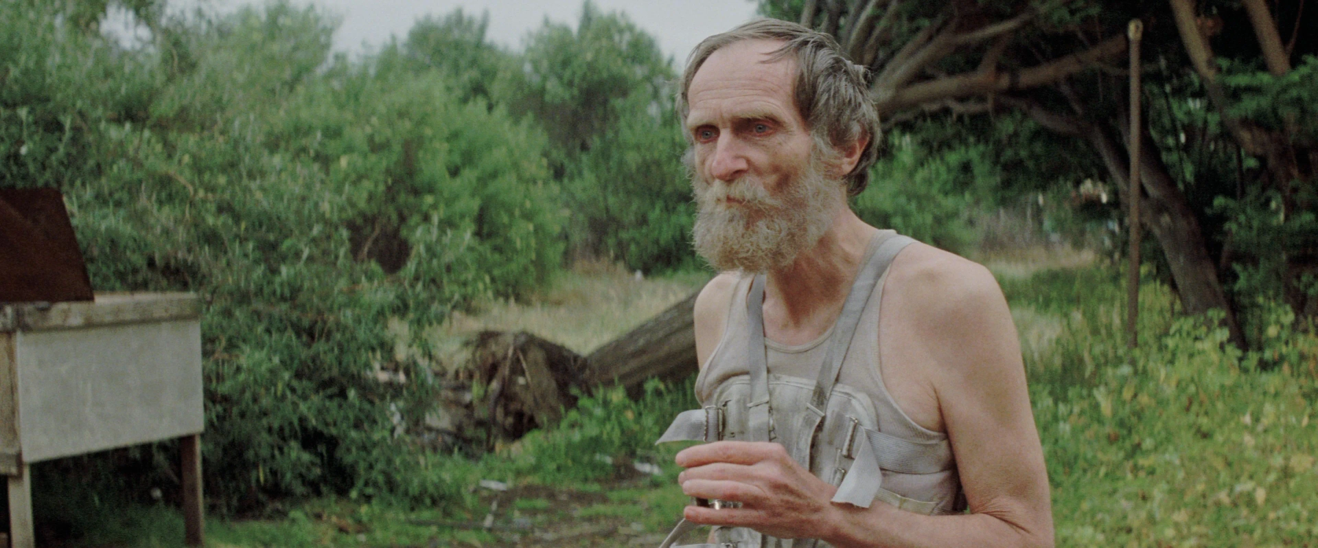 Roberts Blossom in Christine (1983)