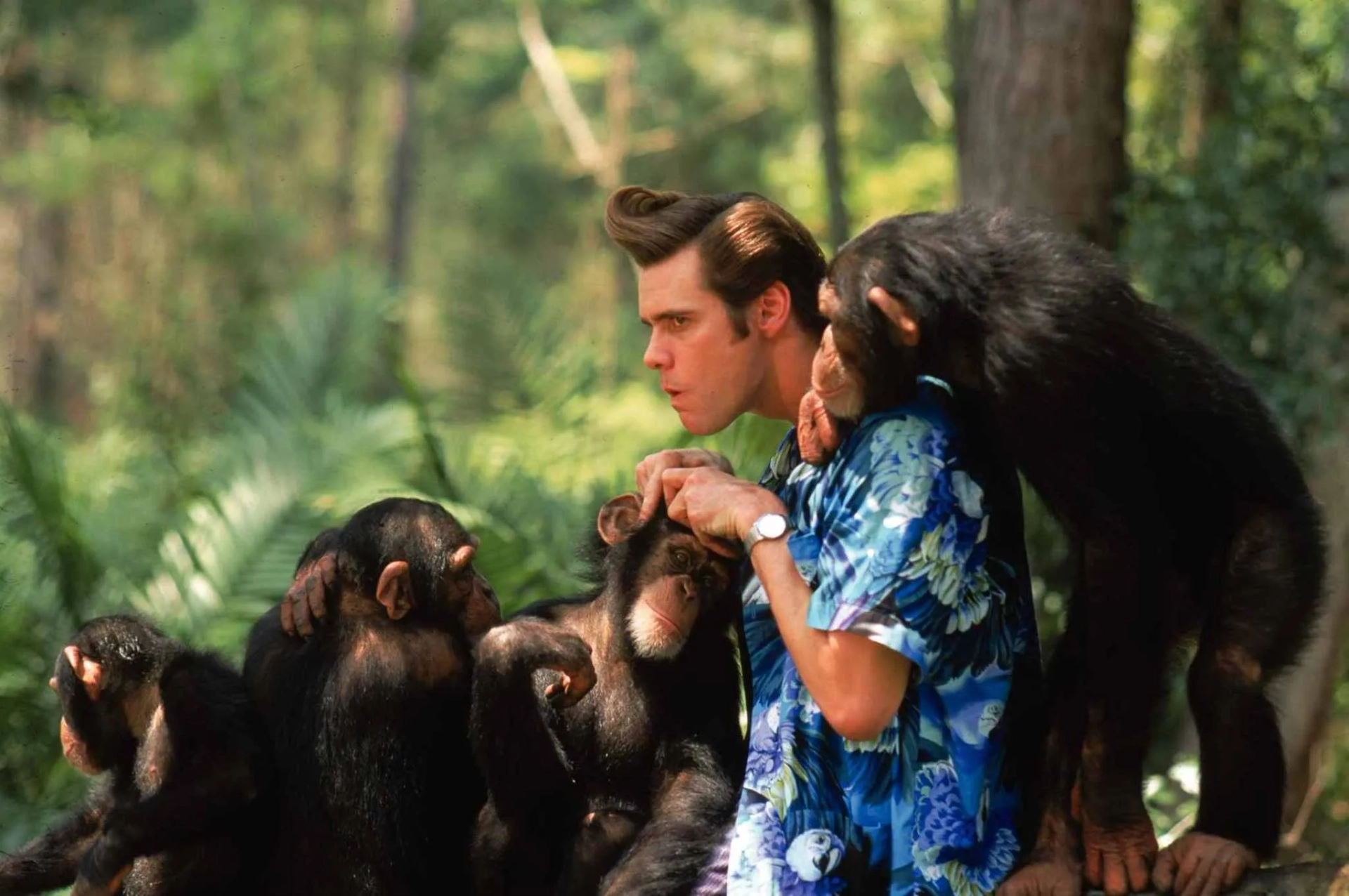 فیلم ایس ونچورا: هنگامی که طبیعت فرا می خواند (Ace Ventura: When Nature Calls 1995)