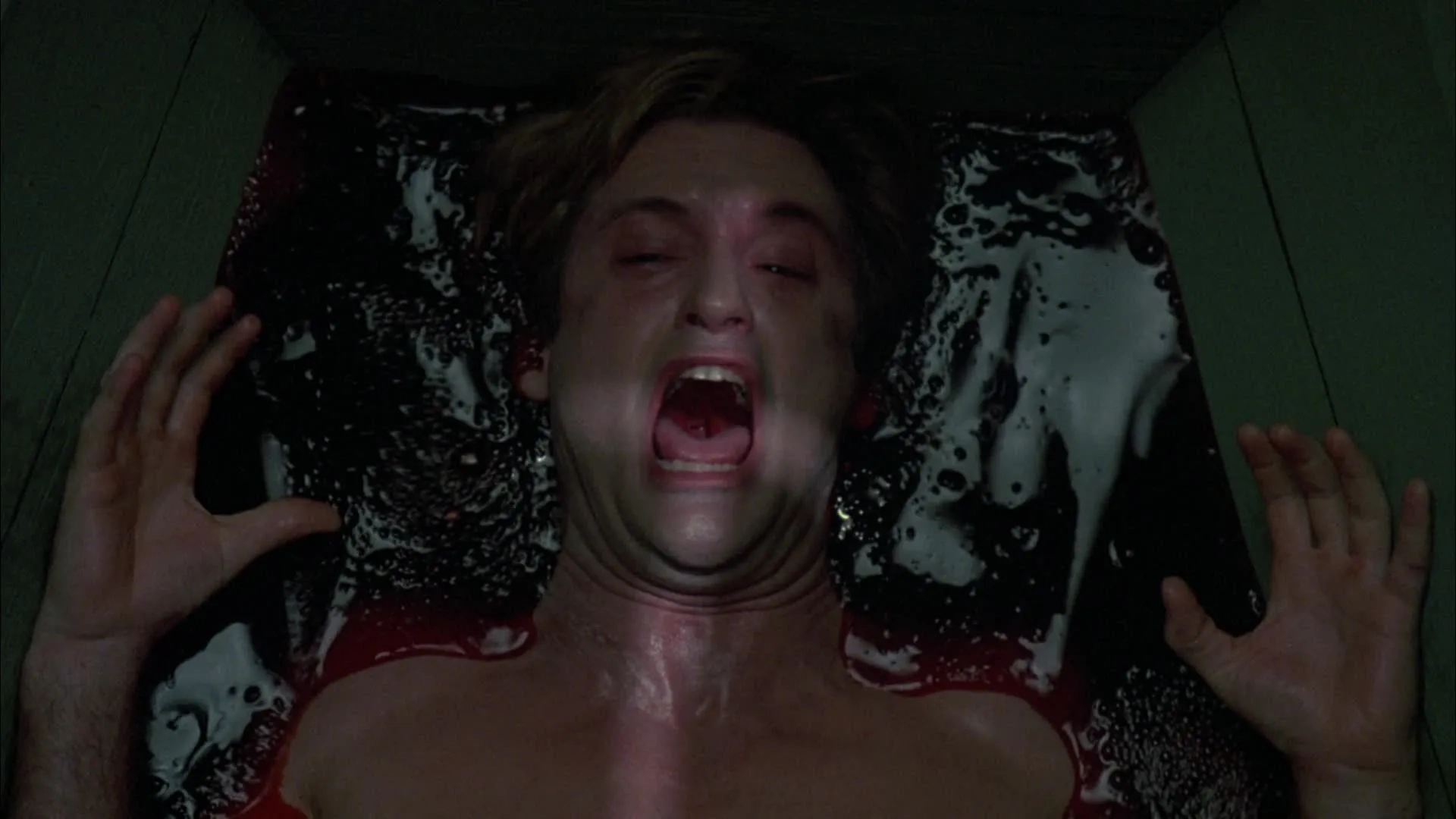 فیلم مار و رنگین کمان (The Serpent and the Rainbow 1988)