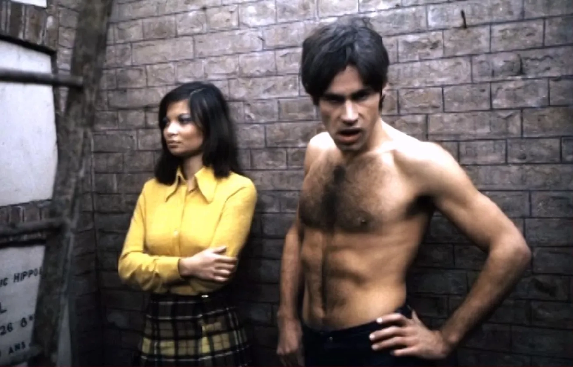 فیلم گل رز آهنین (The Iron Rose 1973)