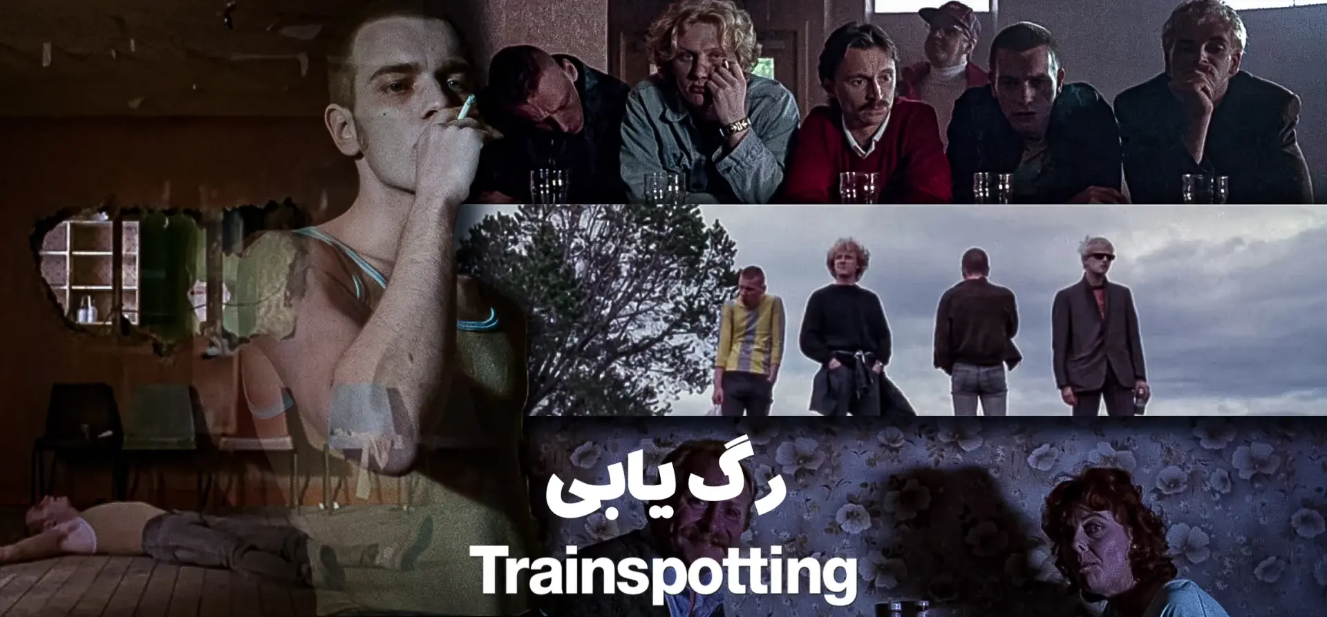 رگ-یابی