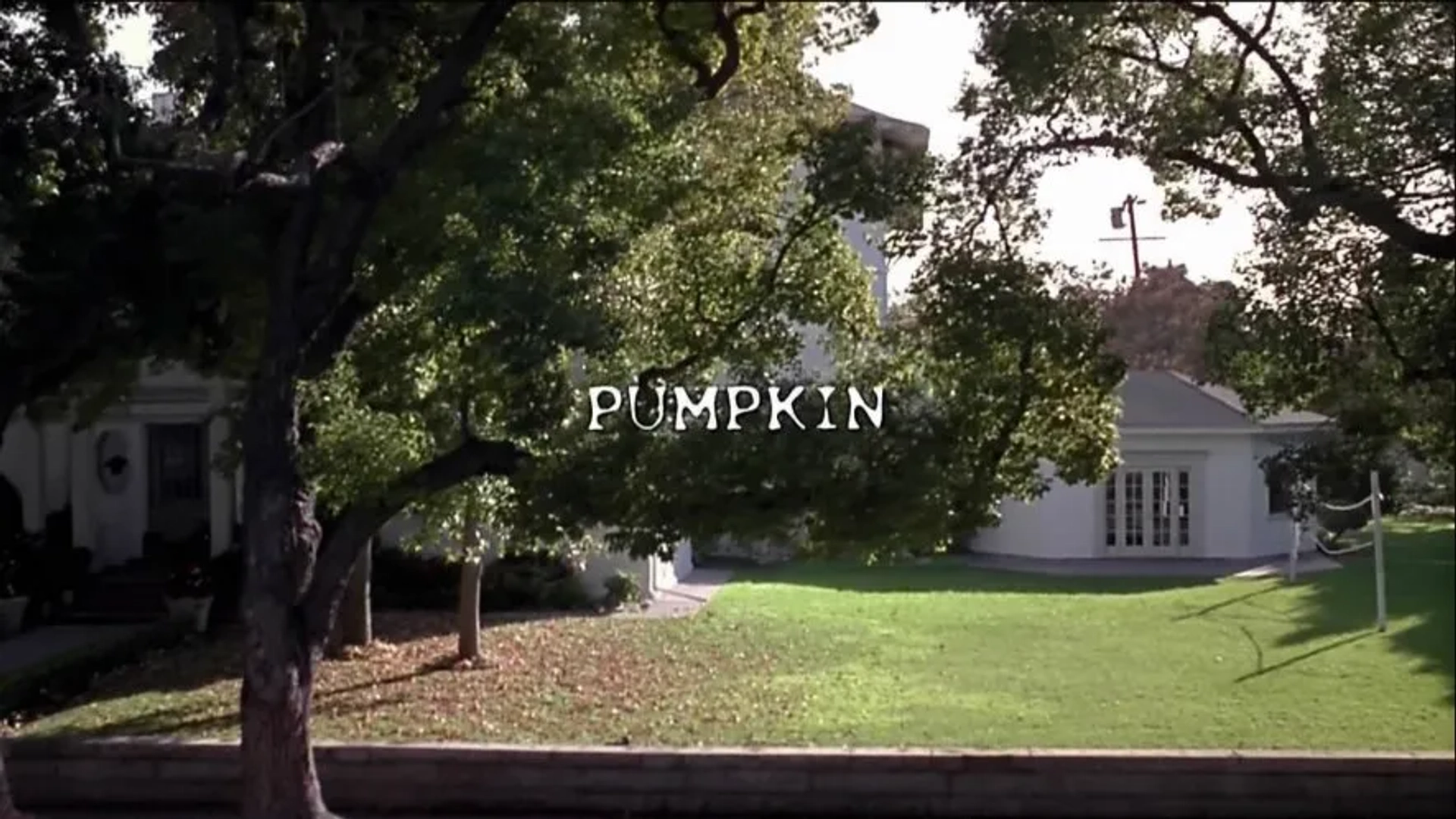 فیلم کدو تنبل (Pumpkin 2002)